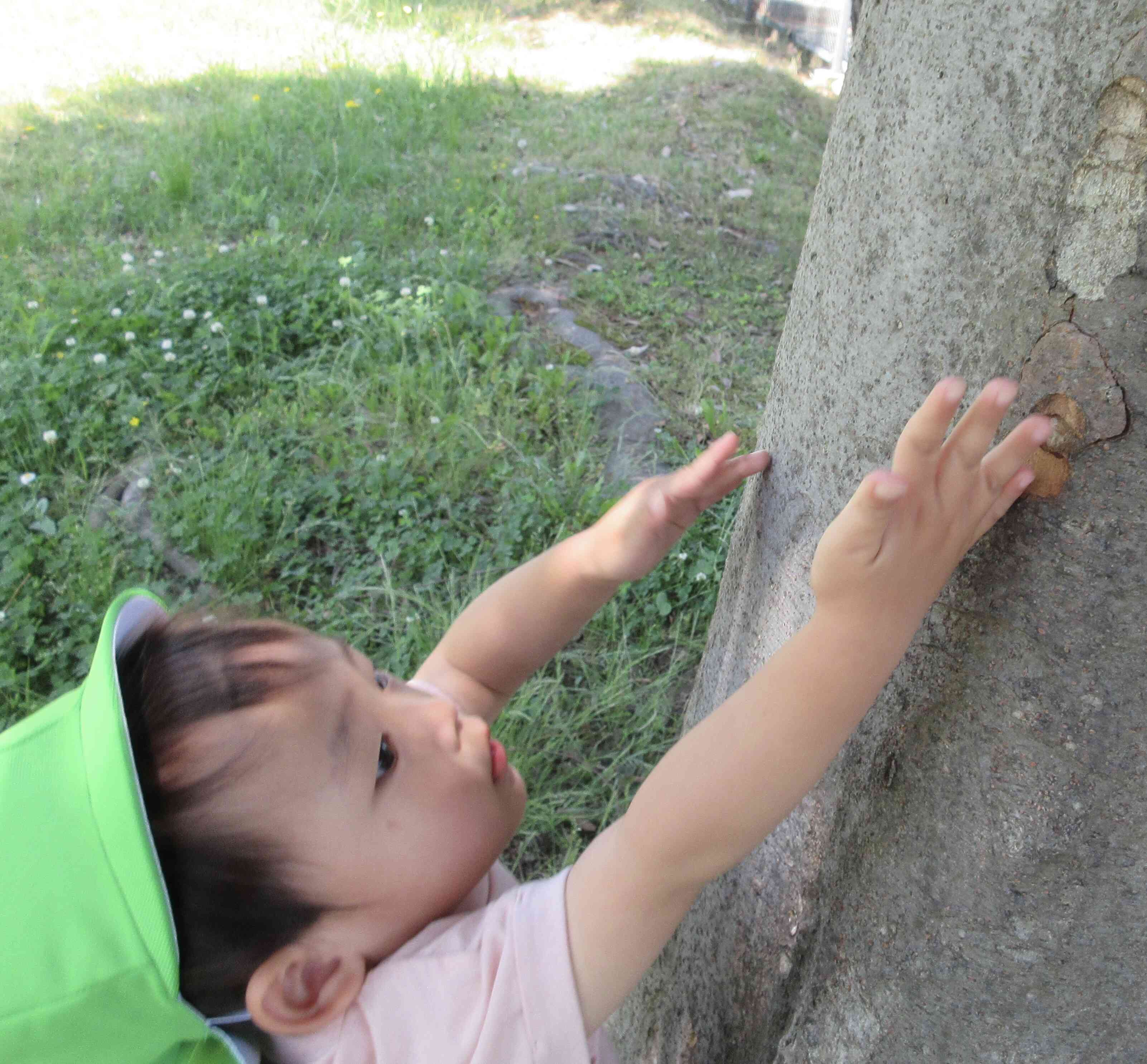 北上第二公園の「虫」