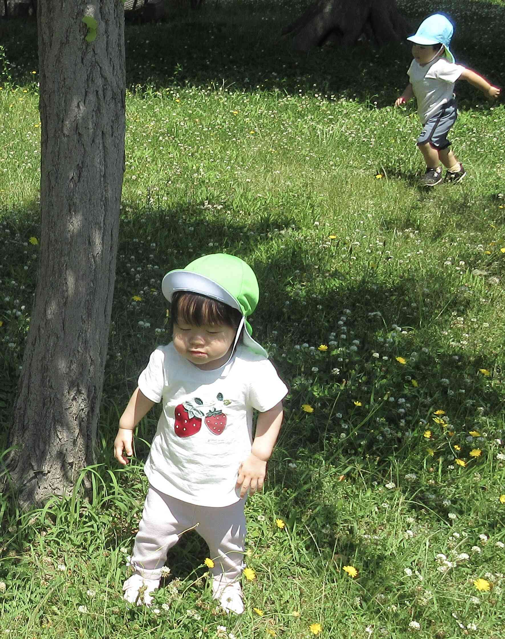 北上第二公園の「花」