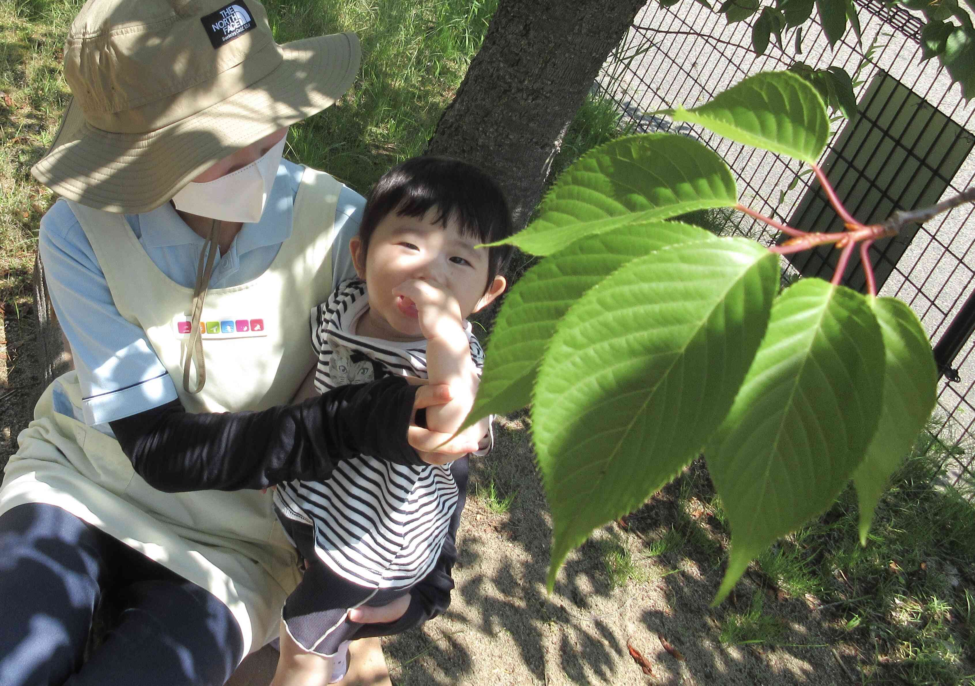 北上第二公園の「風」