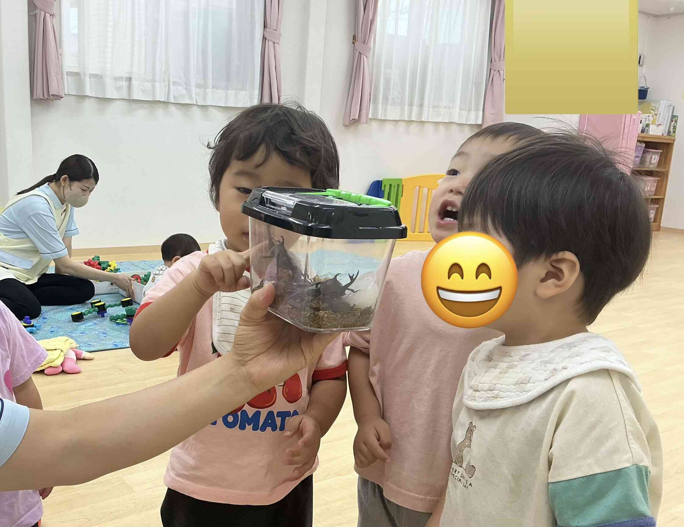 かっこいいカブトムシ⭐︎