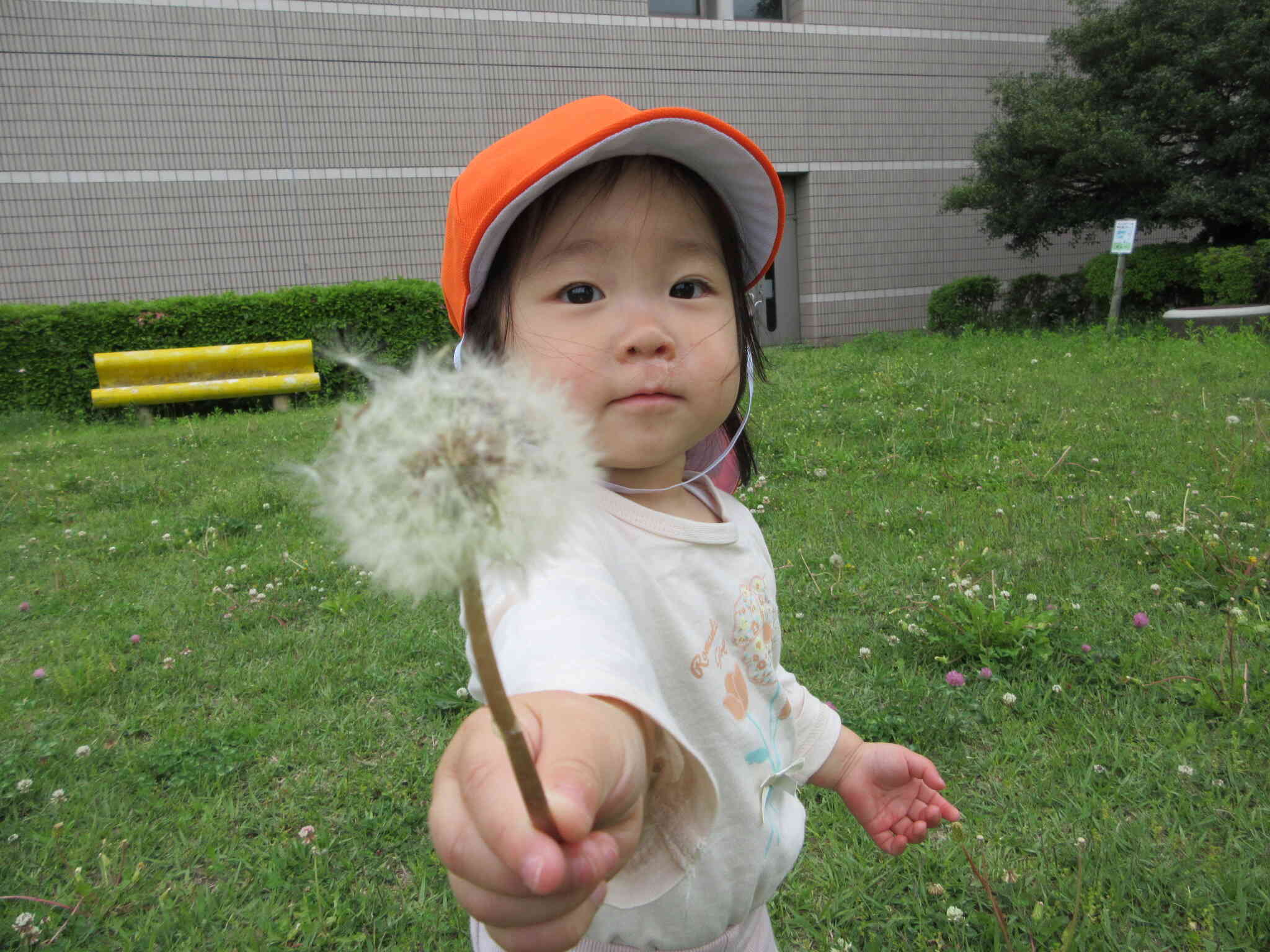 わた帽子もあったね♪