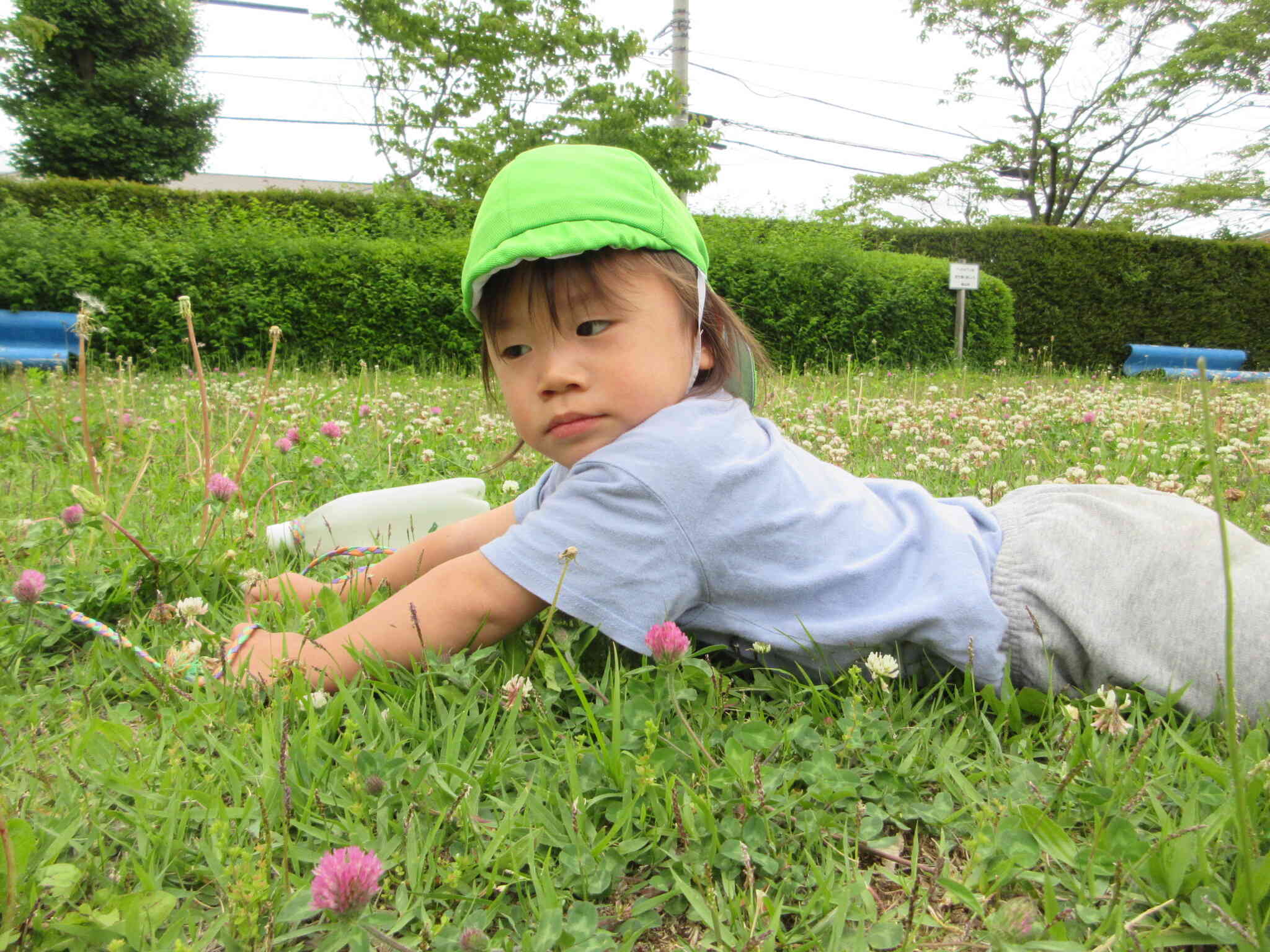 こっちの方が探しやすいよ！！
