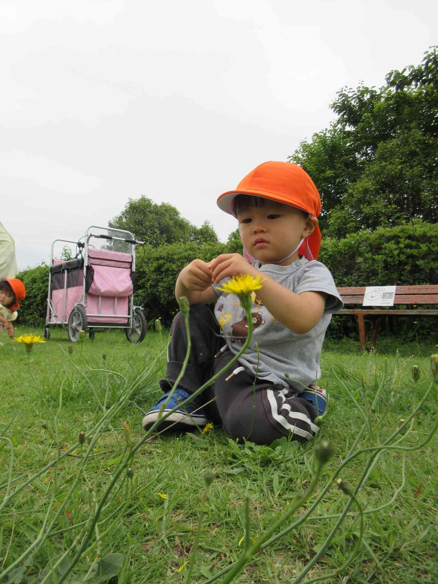 公園に行って元気におもいっきり遊んでいます！！
