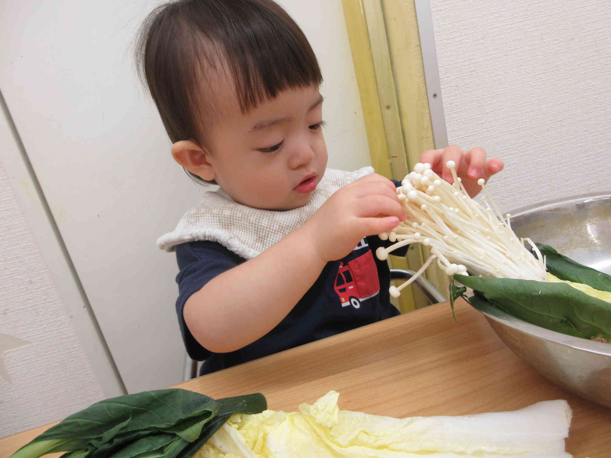 これは何だろう・・・