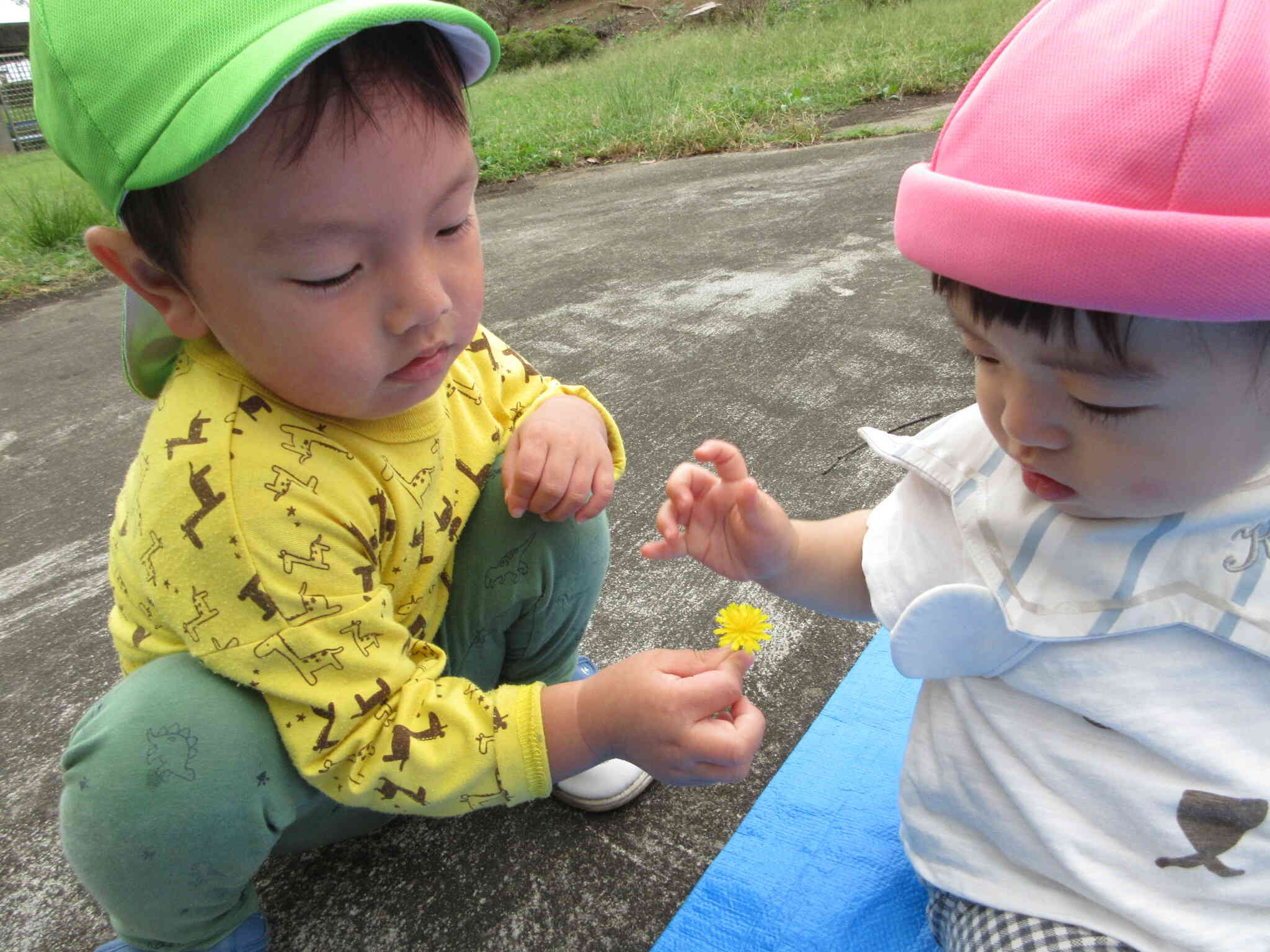 お花を見つけたり、虫をみつけたり・・・