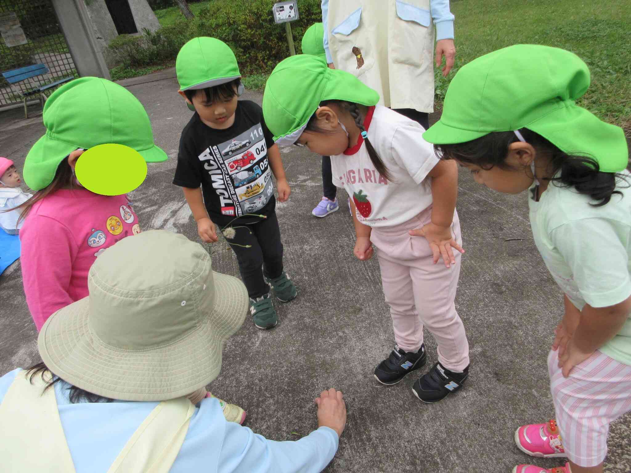 見てみて！バッタがいるよ～