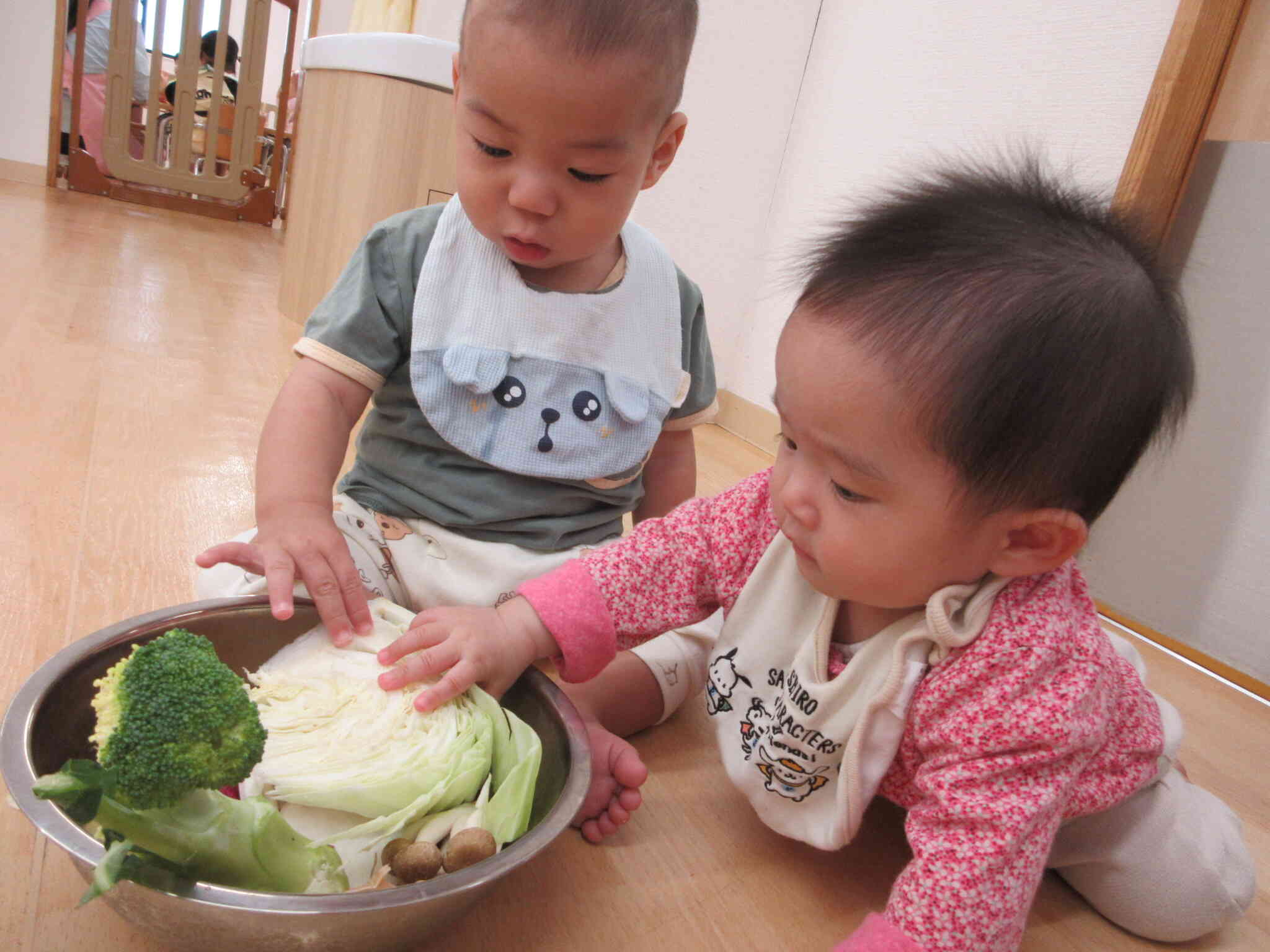 キャベツの触り心地はどうですか？