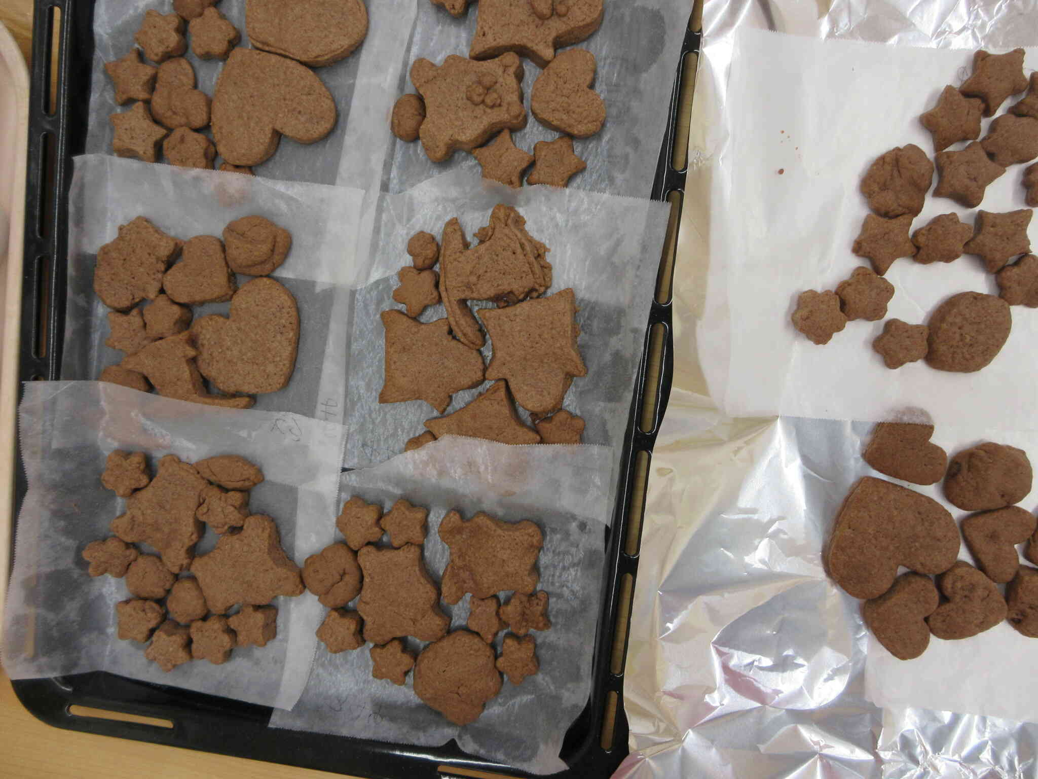 先生！！もういっかい～！！