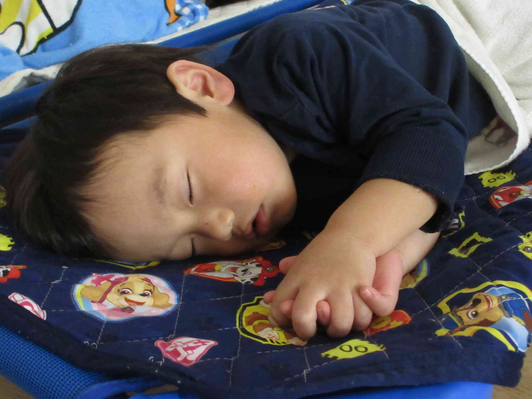 スヤスヤ・・・夢の中～