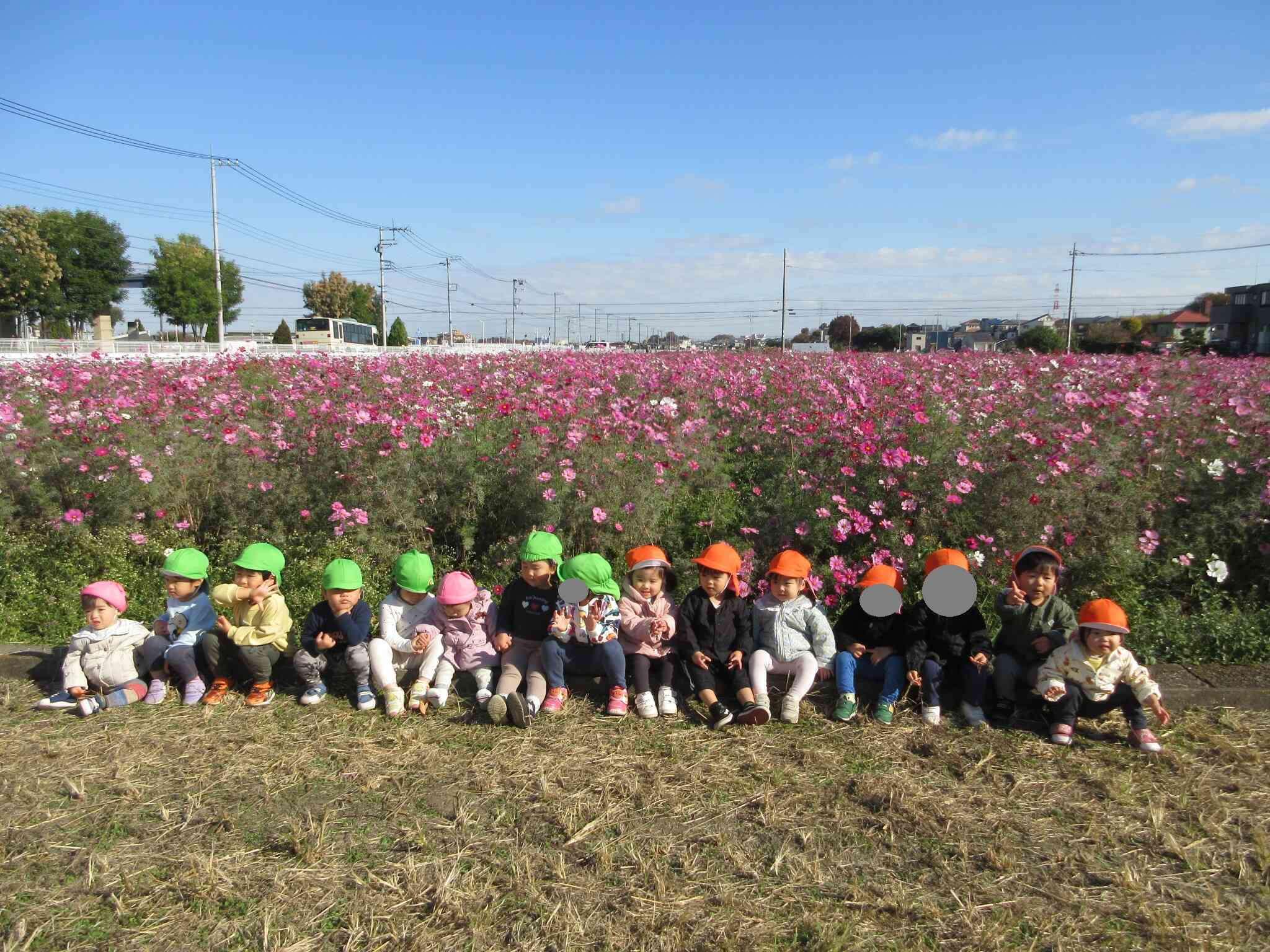 きれいだよ～(#^^#)