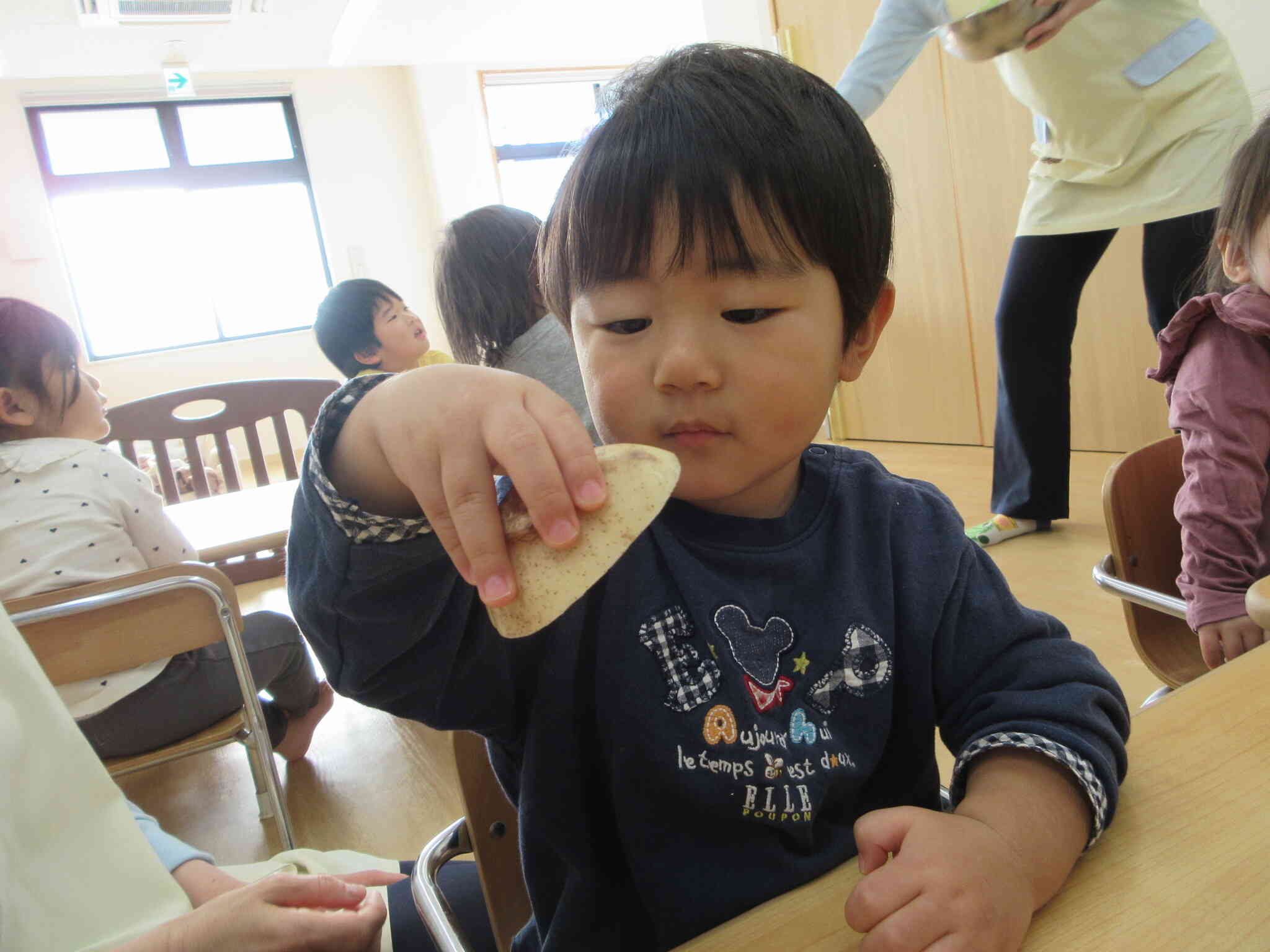 これは何だろう・・・穴が沢山あるよ～