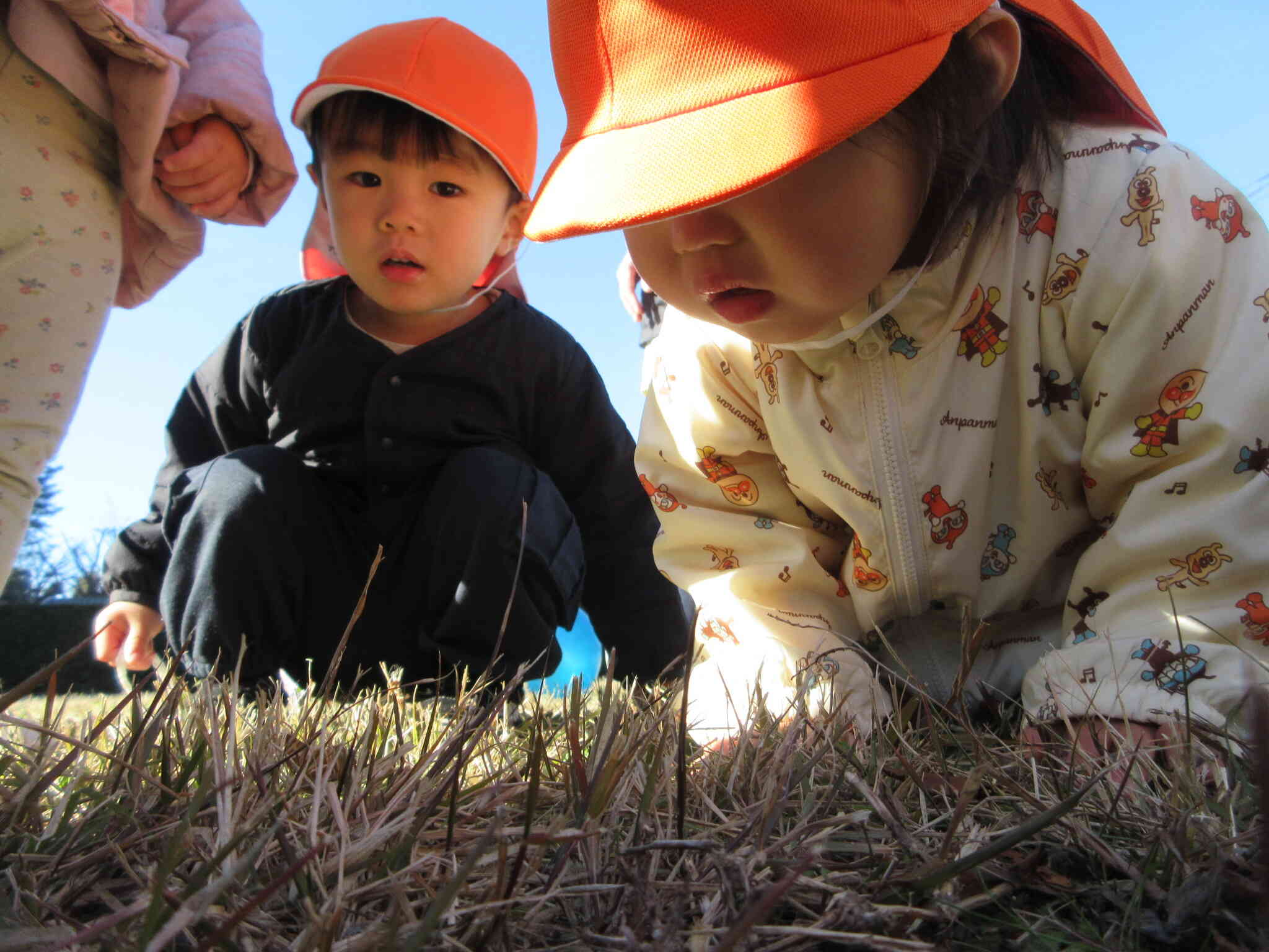 何だろう～？？