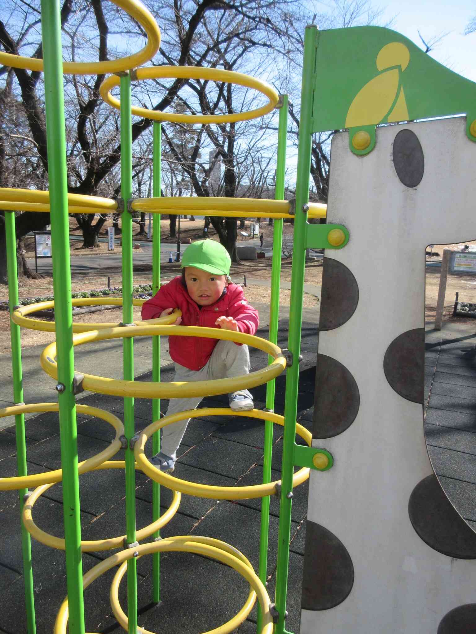 今日は天気も良いので、歩いて少し遠くの広い公園に行きました。