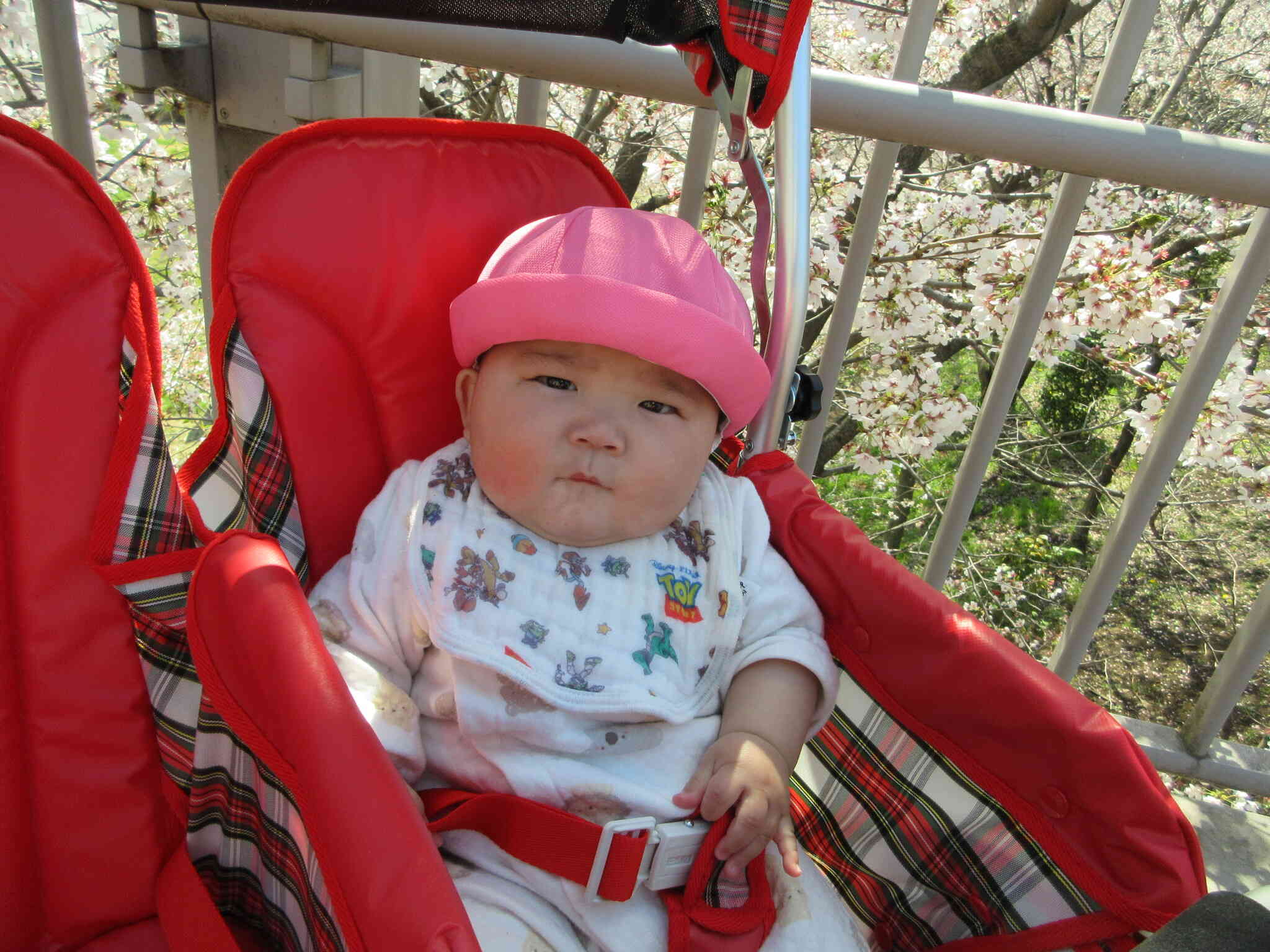 ひよこ組のお友だちです。