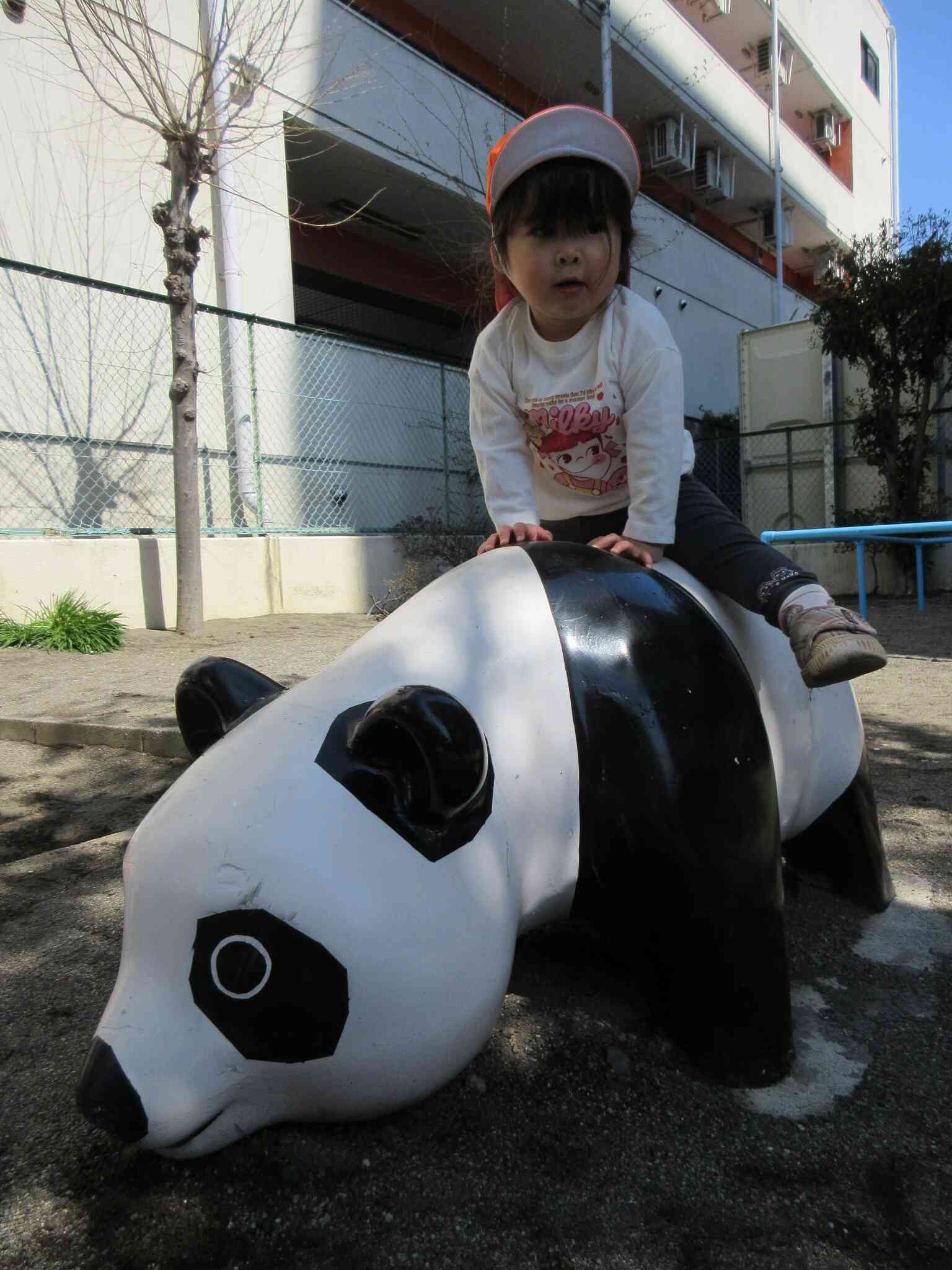 パンダさんに乗ったよ～(#^^#)