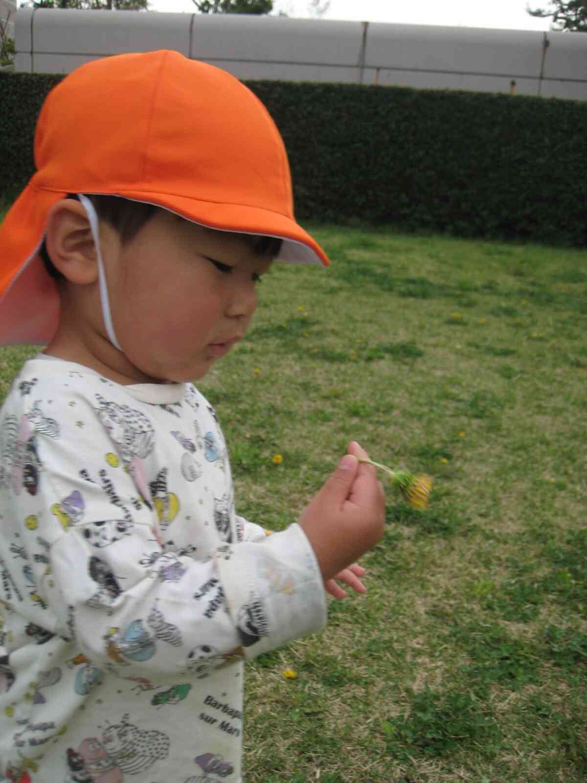 お花をみつけたり・・・