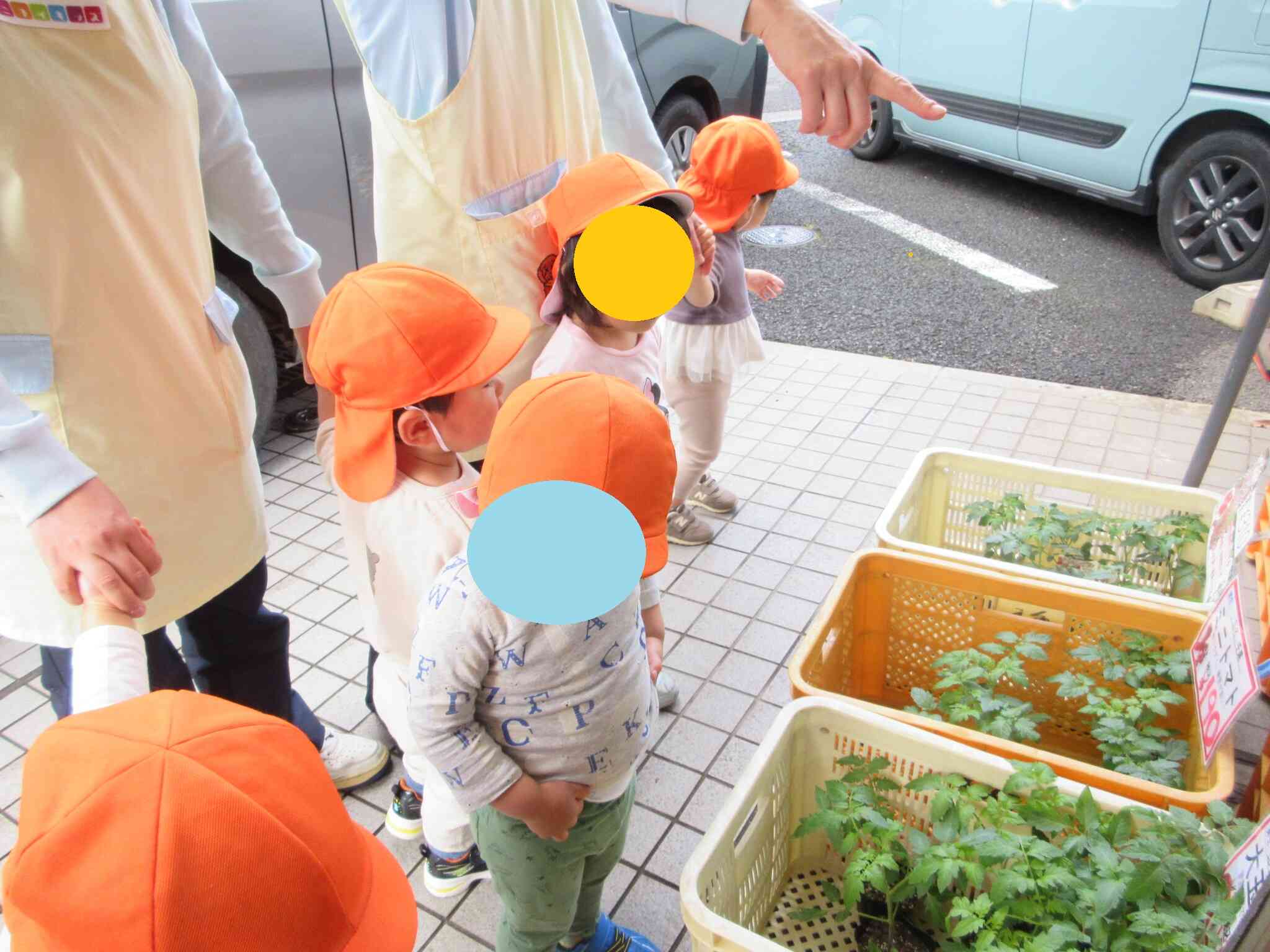 野菜の苗のお買い物！！