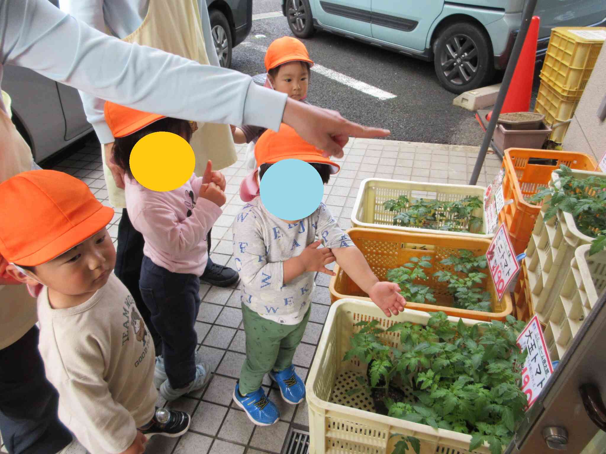 どれにしようかな？