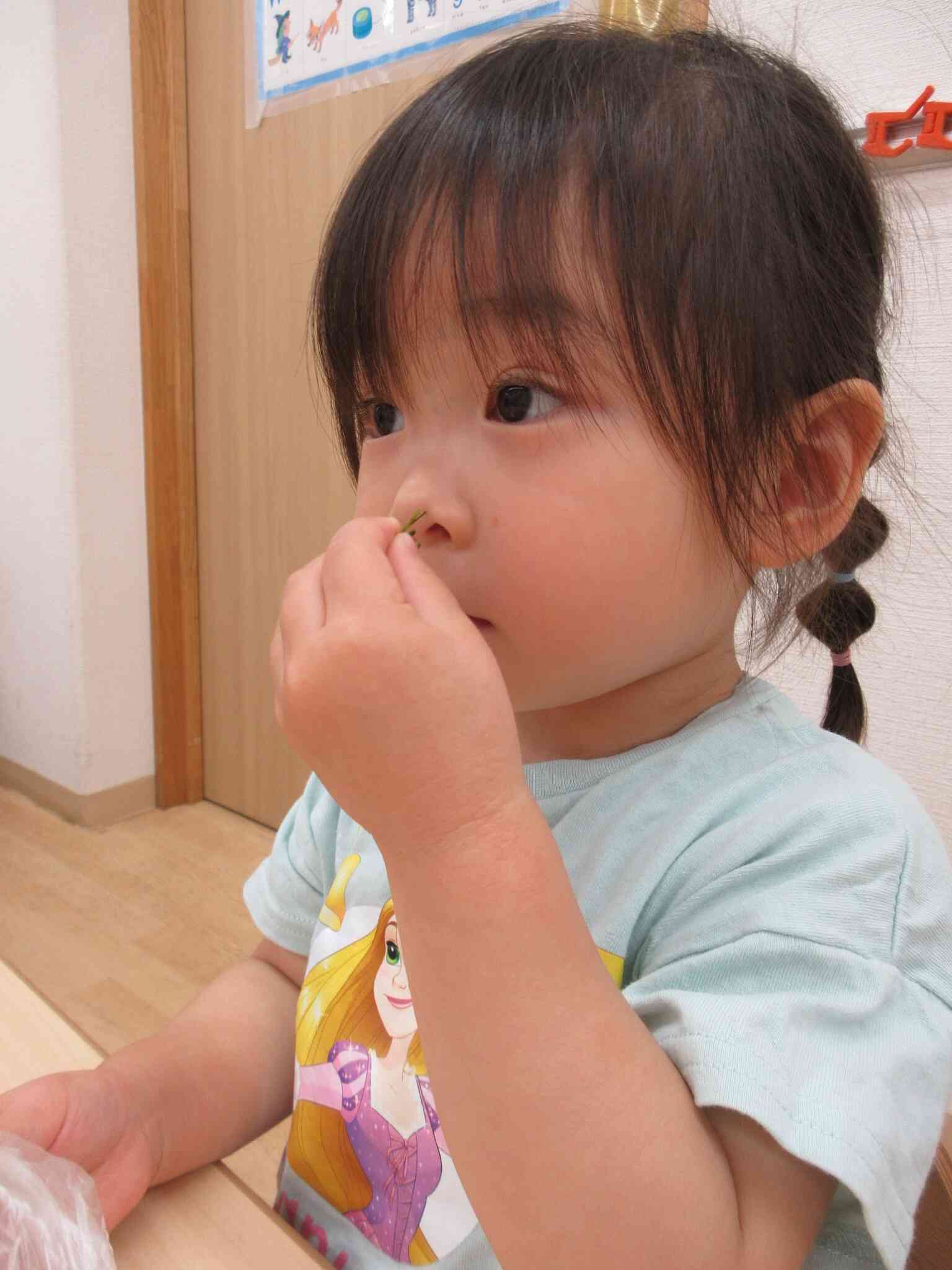 お茶の匂い どうかな？