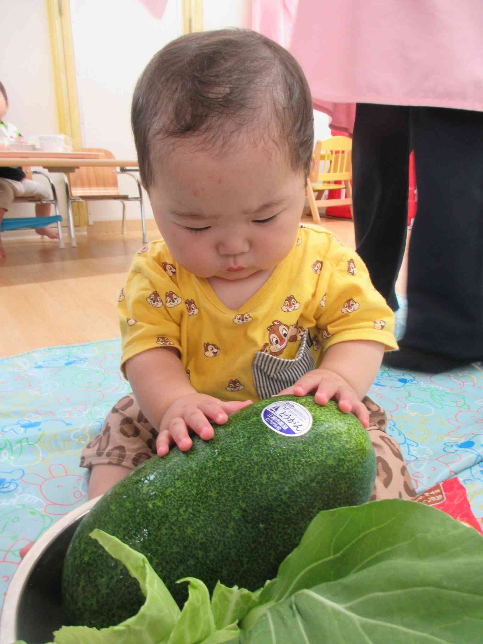 これは・・・