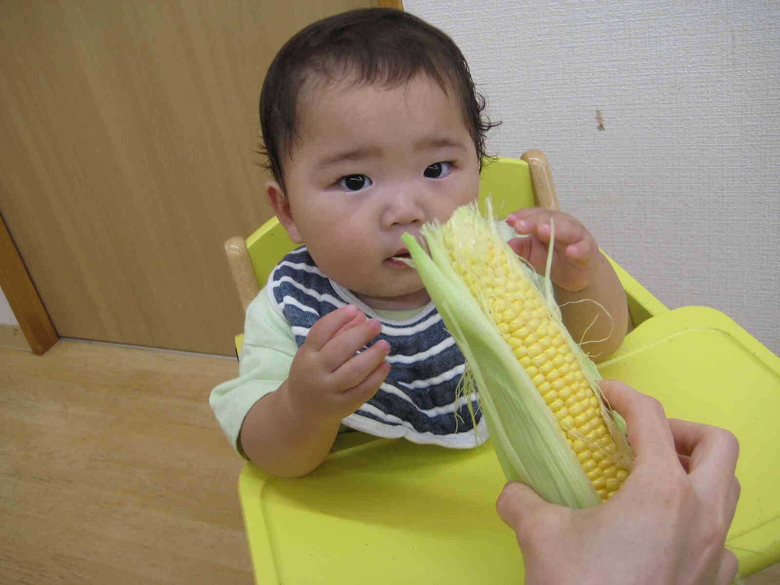 出てきたね～(*^-^*)