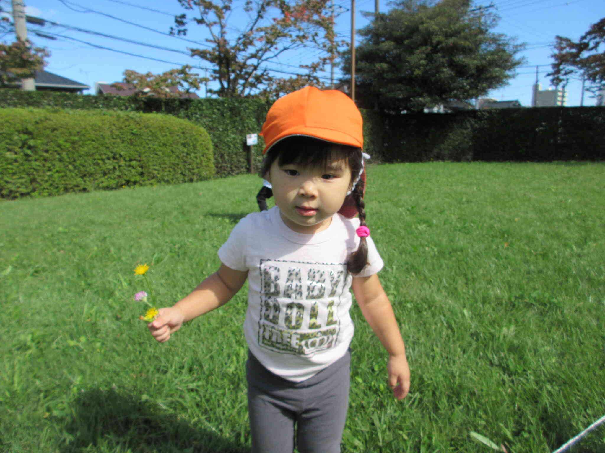 お花摘んできたんだよ～♪