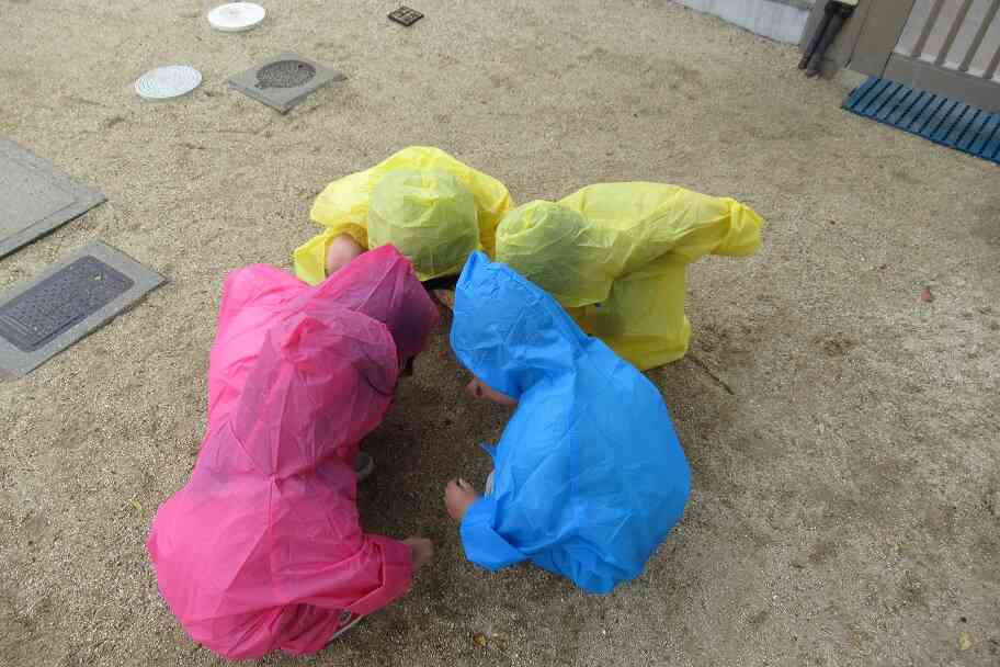 雨の日の園庭散歩（ぱんだ組3歳児）