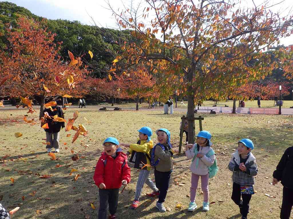 『わぁきれい！！風に舞うきれいな落ち葉を見て大喜び』