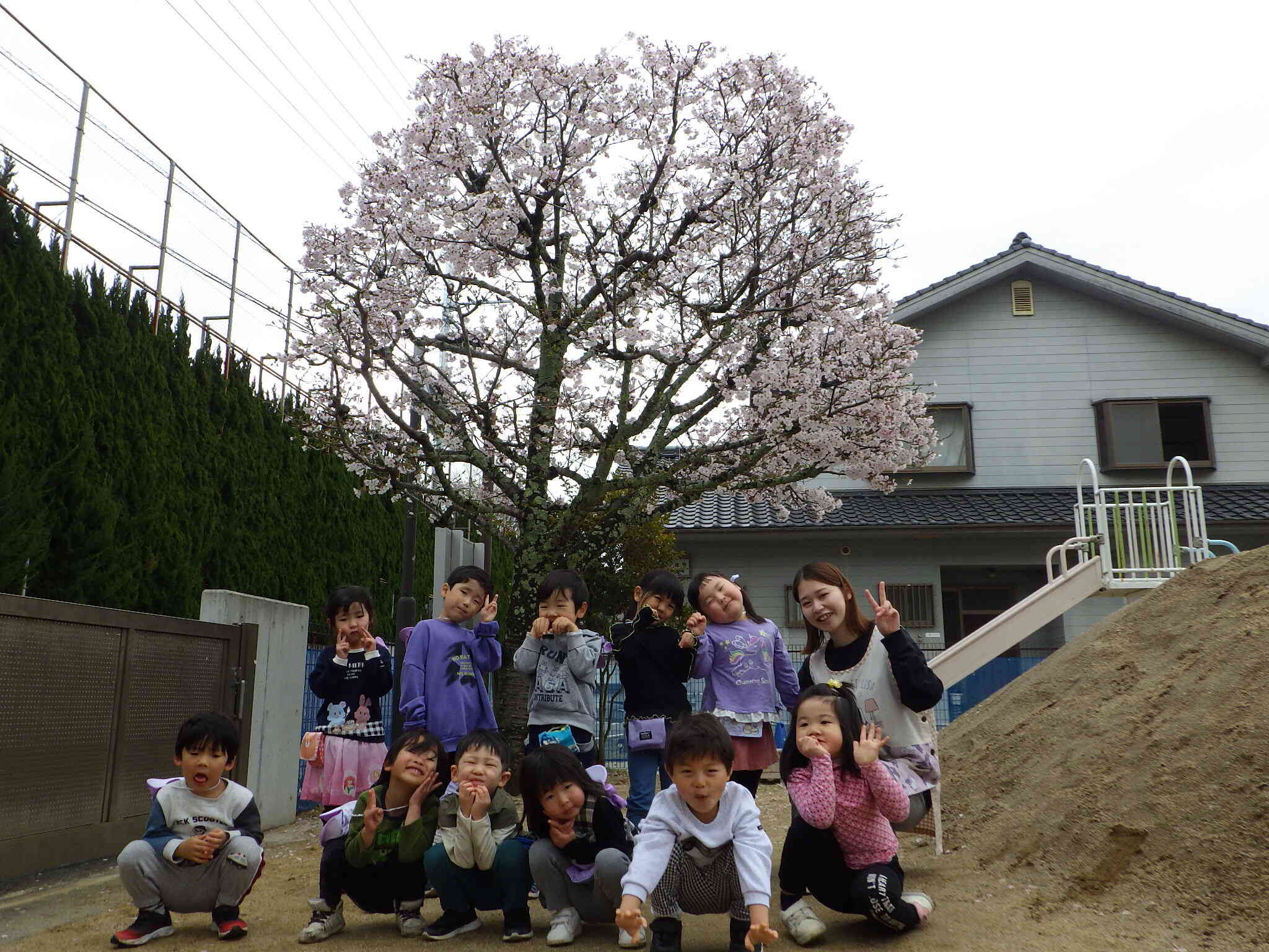 『桜の木の下でハイチーズ！』