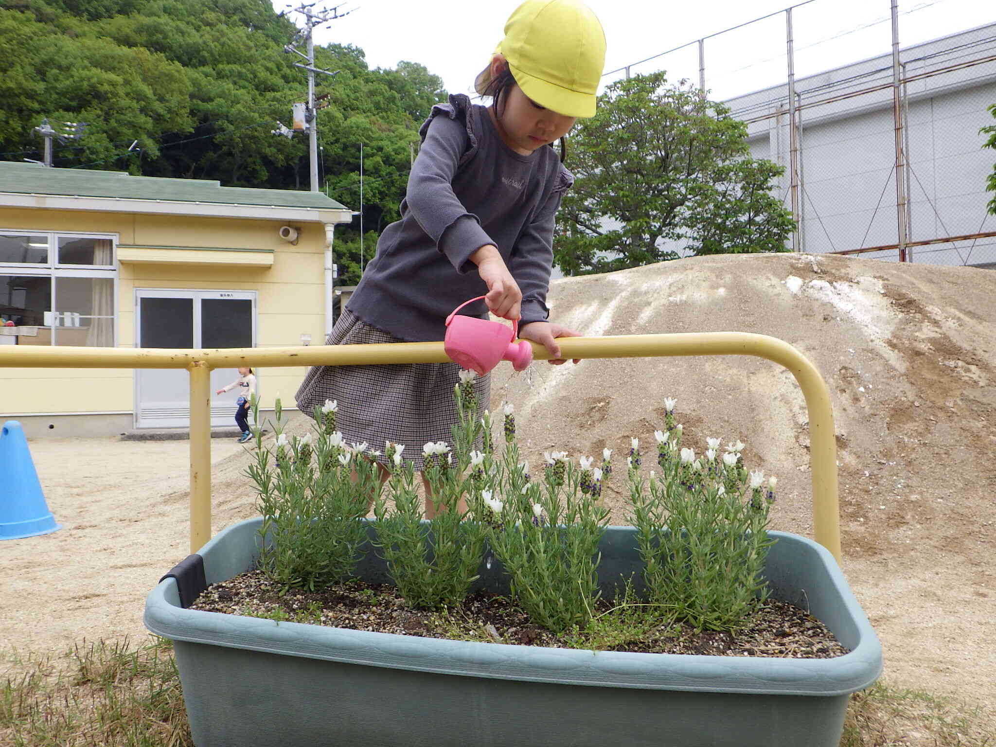 『当番活動』お花の水やりは私に任せてね♪