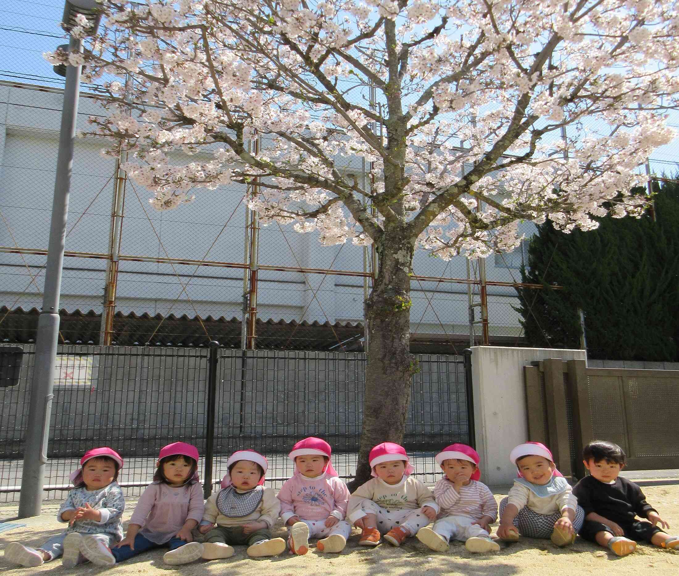 可愛いりす組さん♡