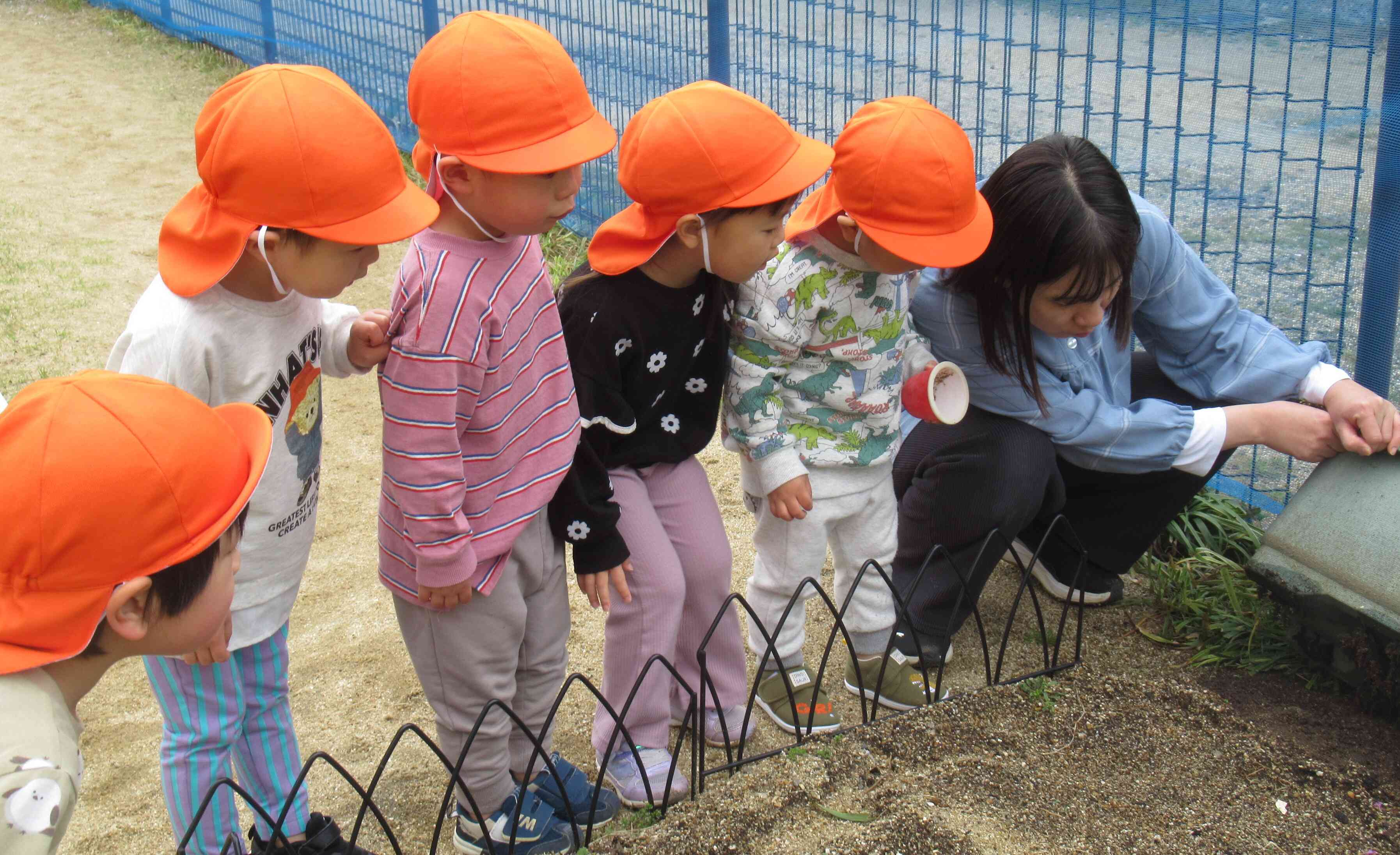 『だんご虫、み～つけた！』