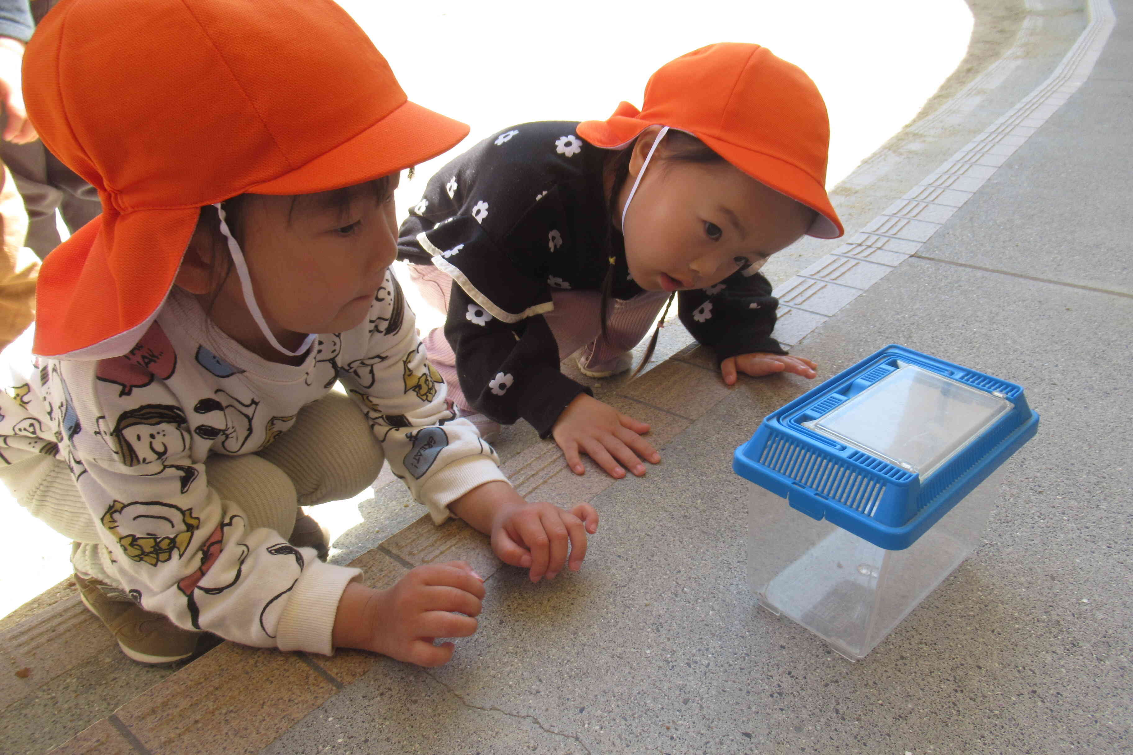 『だんご虫どこにいるの？』