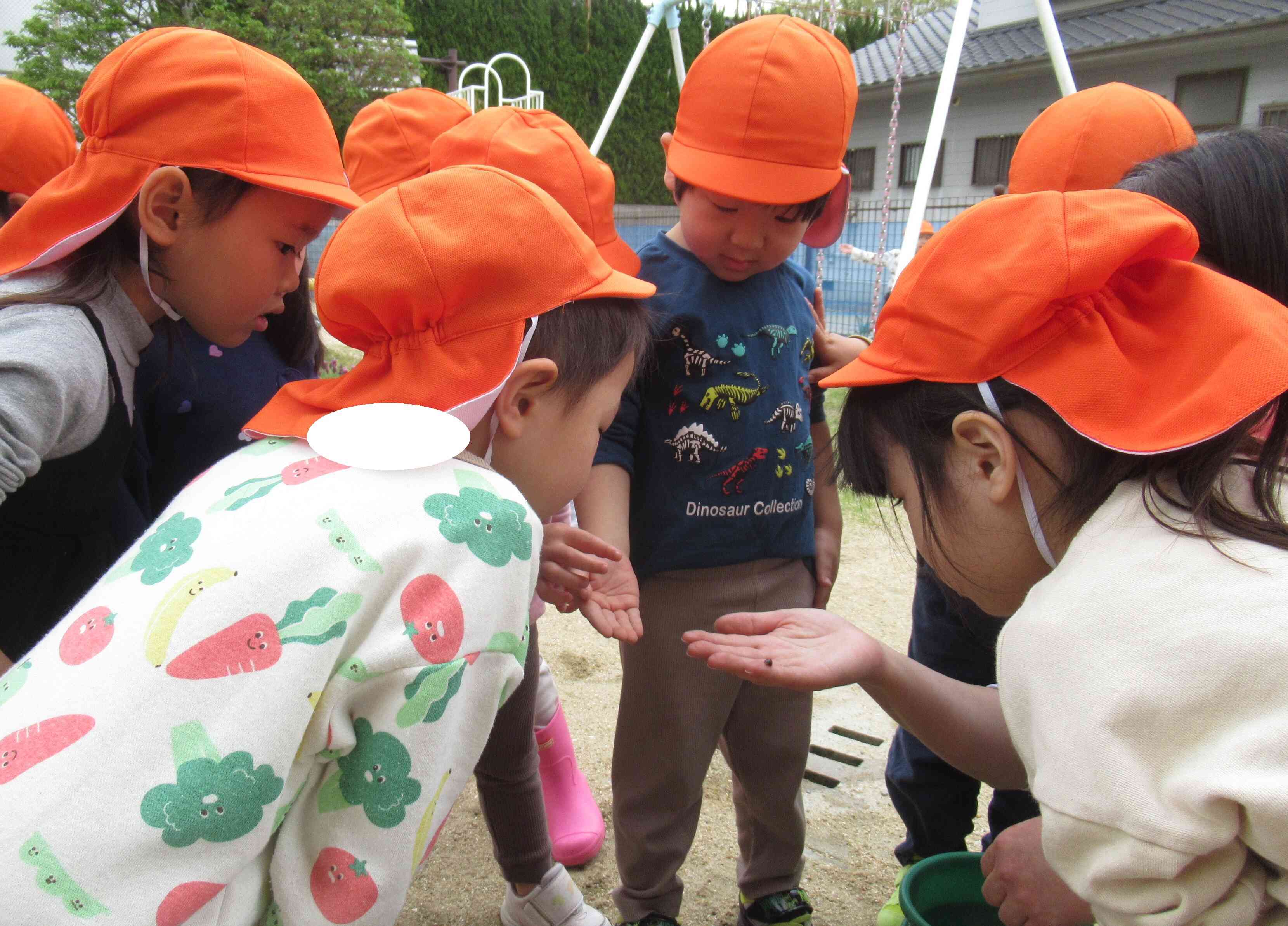 新ぱんだ組さん♡