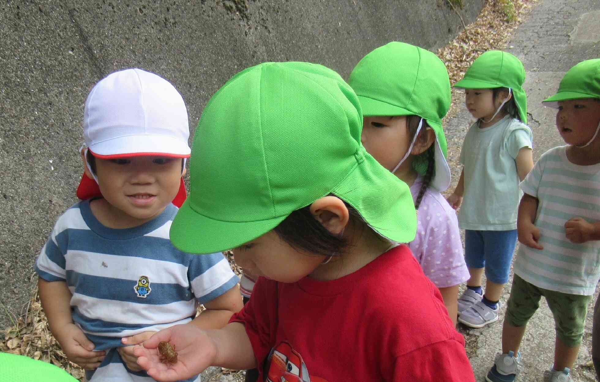 これ、な～んだ？