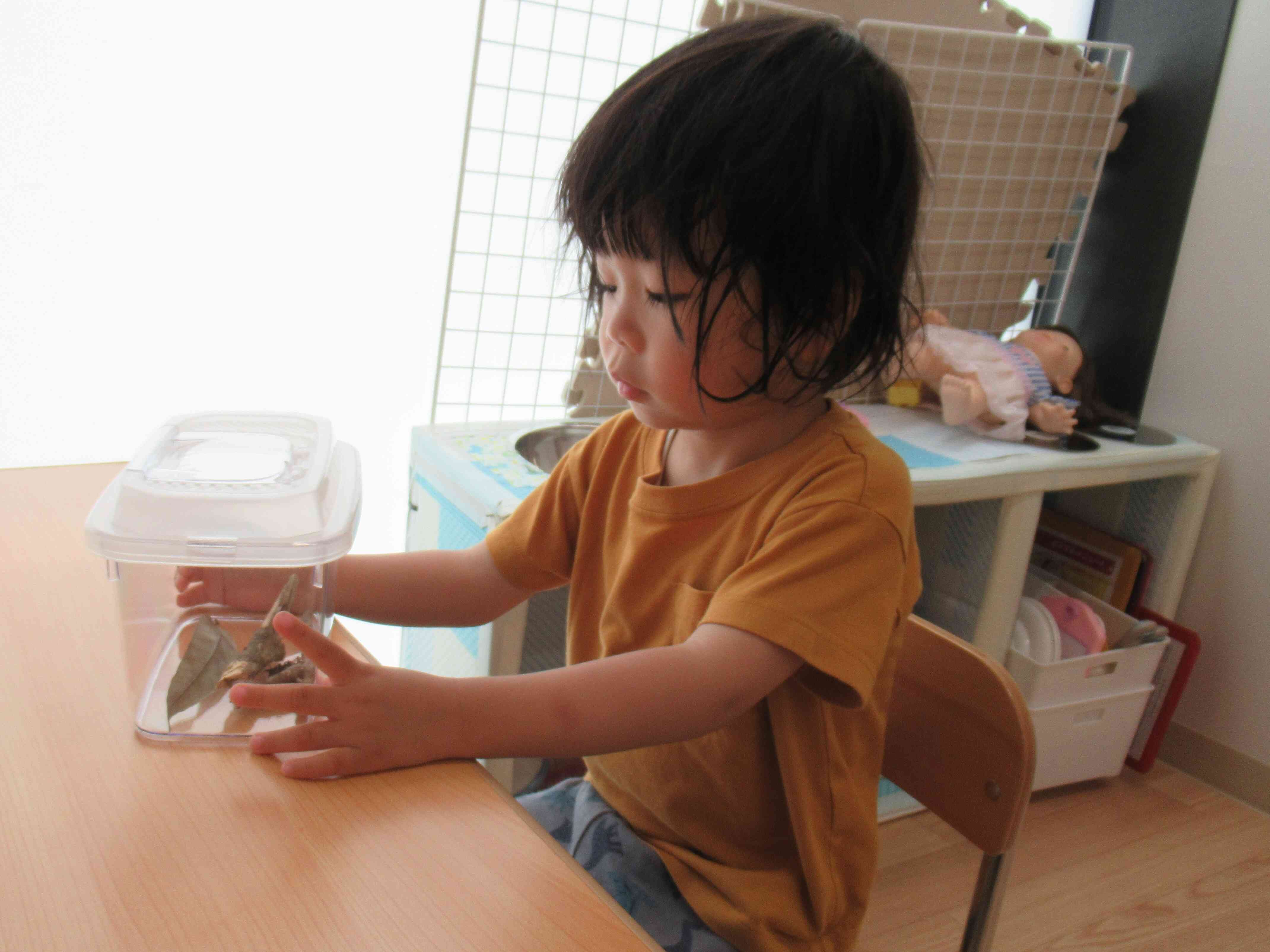 虫観察チーム♪