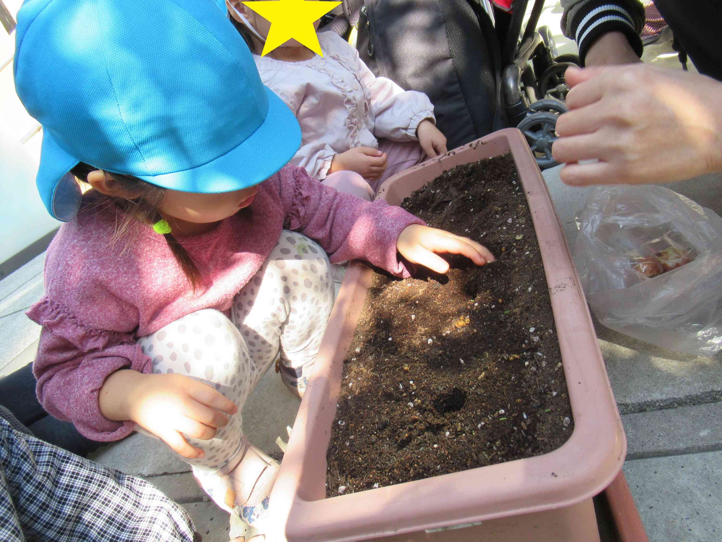 チューリップ（2歳児クラス）