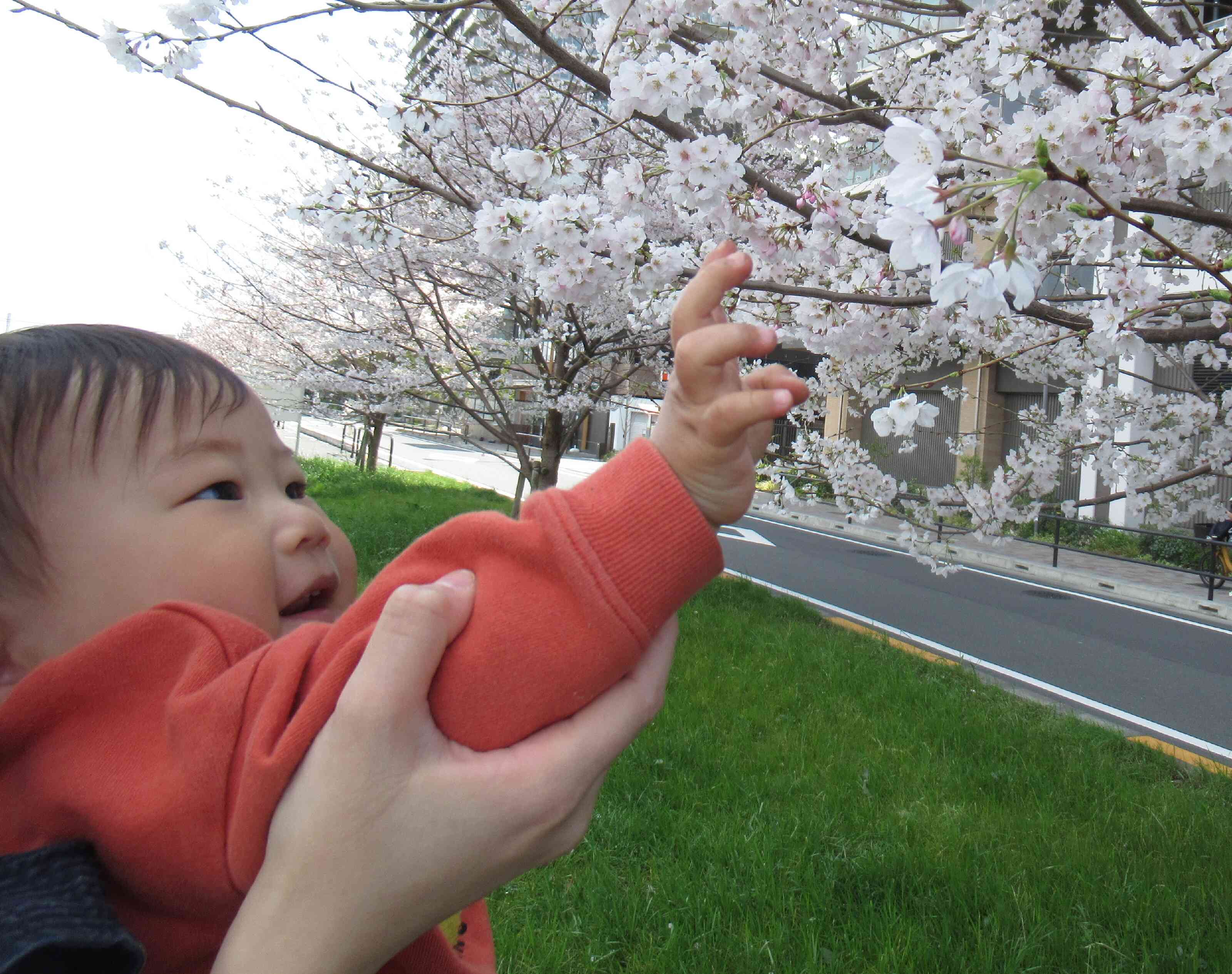 お散歩（０歳児クラス）