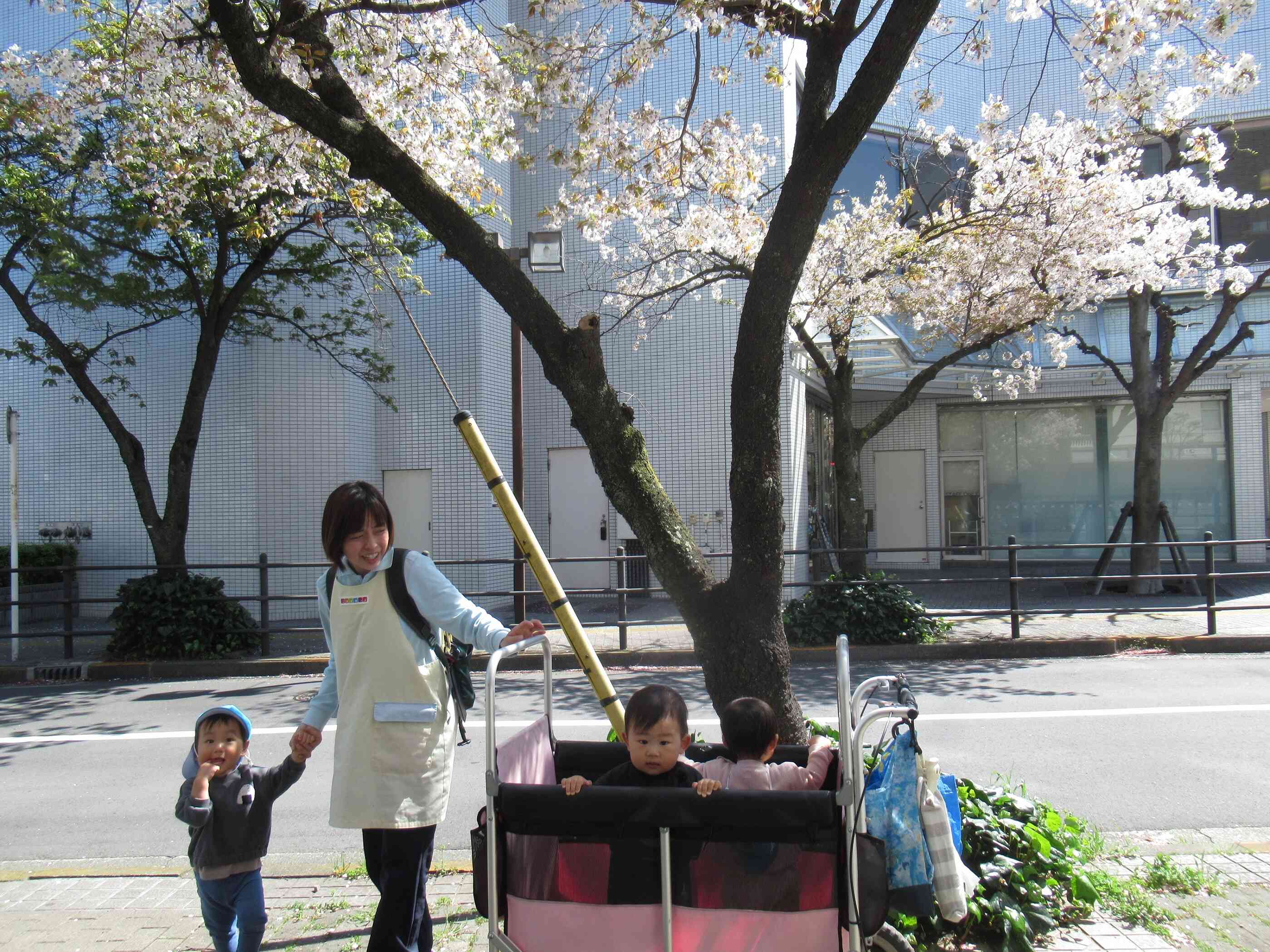 お散歩（１歳児クラス）