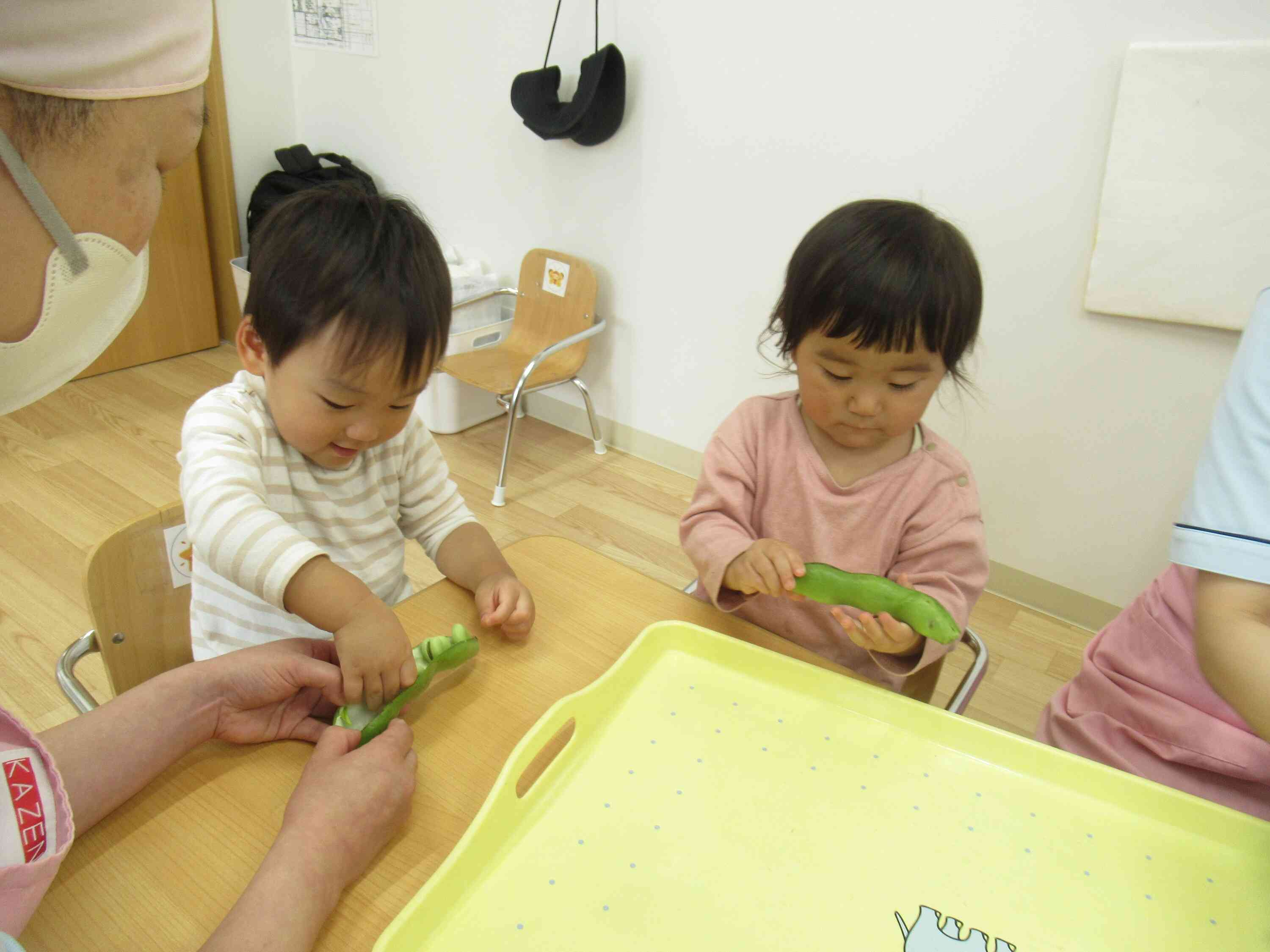 大きい！