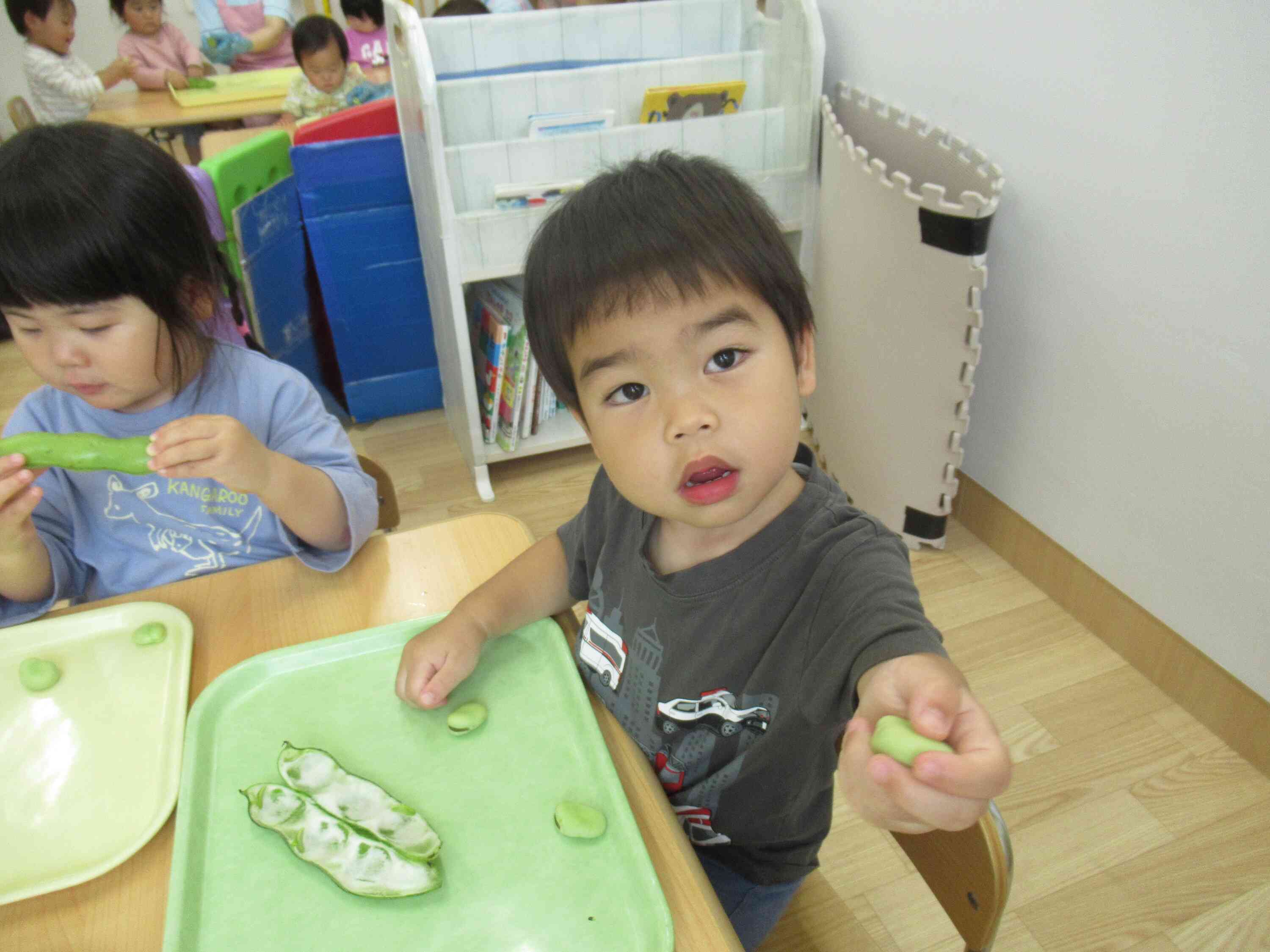 そら豆をふわふわのベッドから出したよ♪