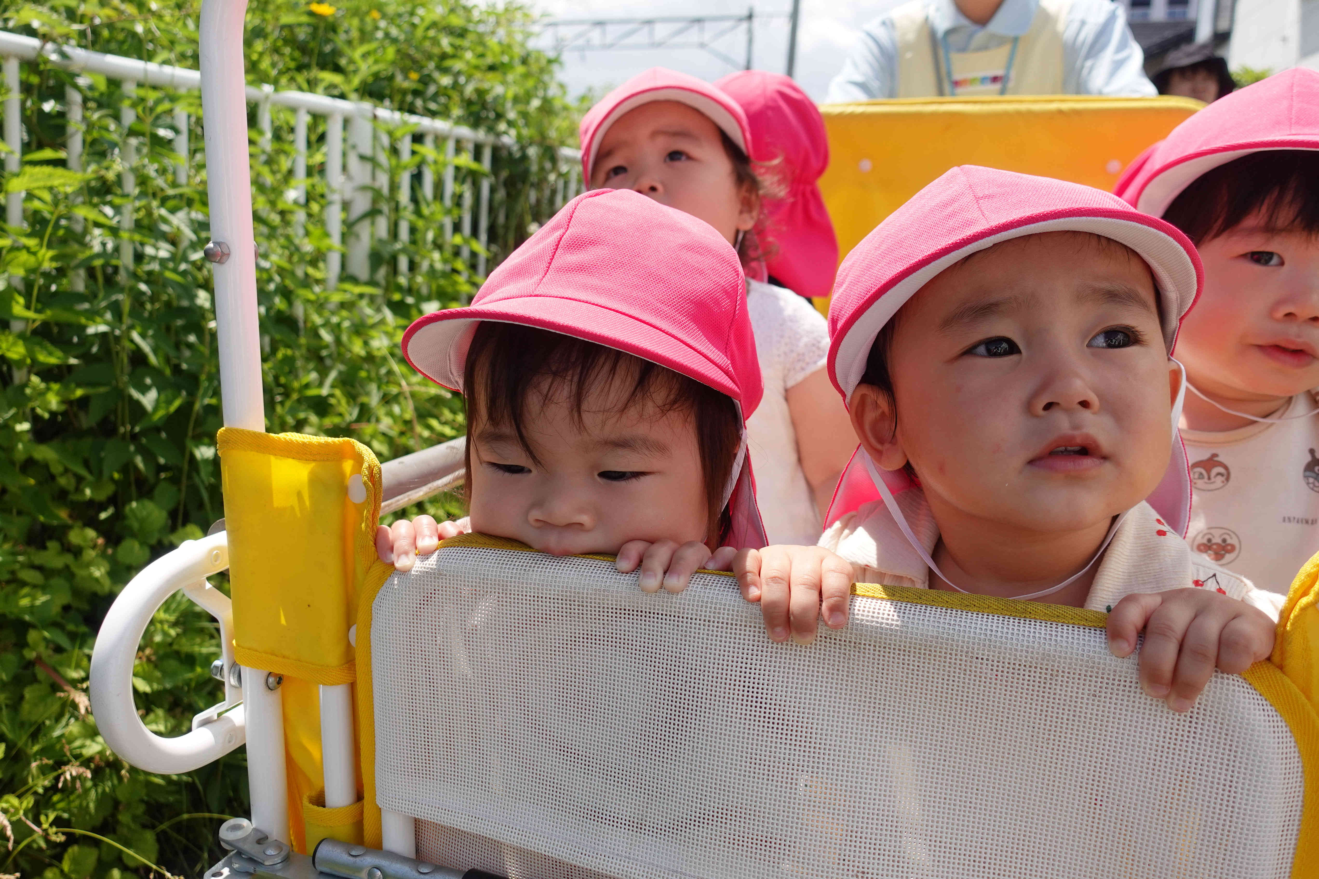 (*る様 保育園着　まとめ売り　24点　セット お散歩の様子（あひる組）｜ニチイキッズ仙北町駅保育園｜ニチイキッズ