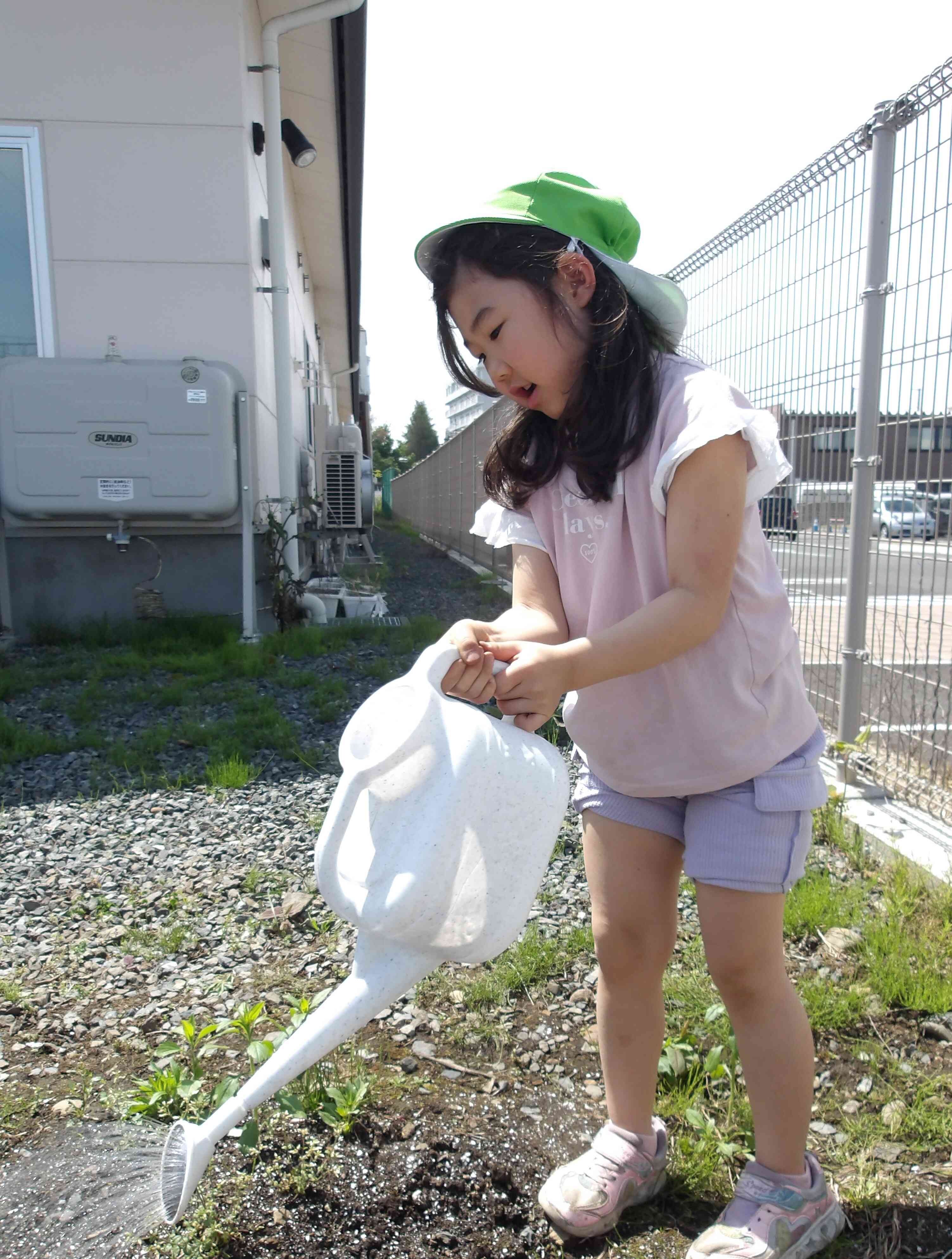 じゃがいも、たくさん採れるといいな
