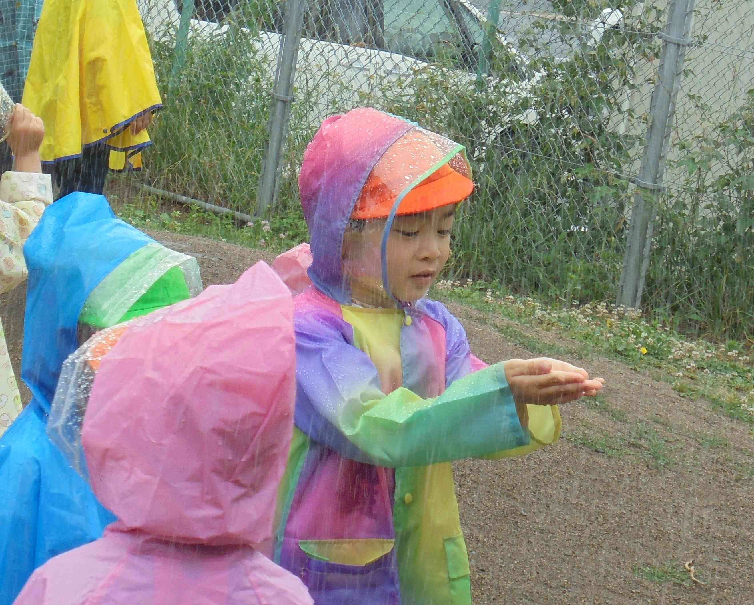 雨溜まるかな