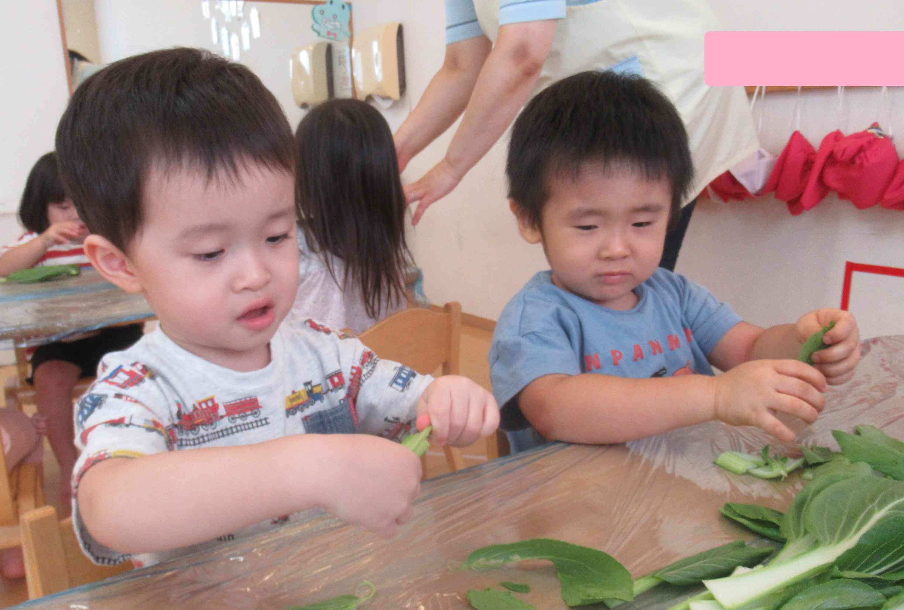 チンゲン菜ちぎり（２歳児）