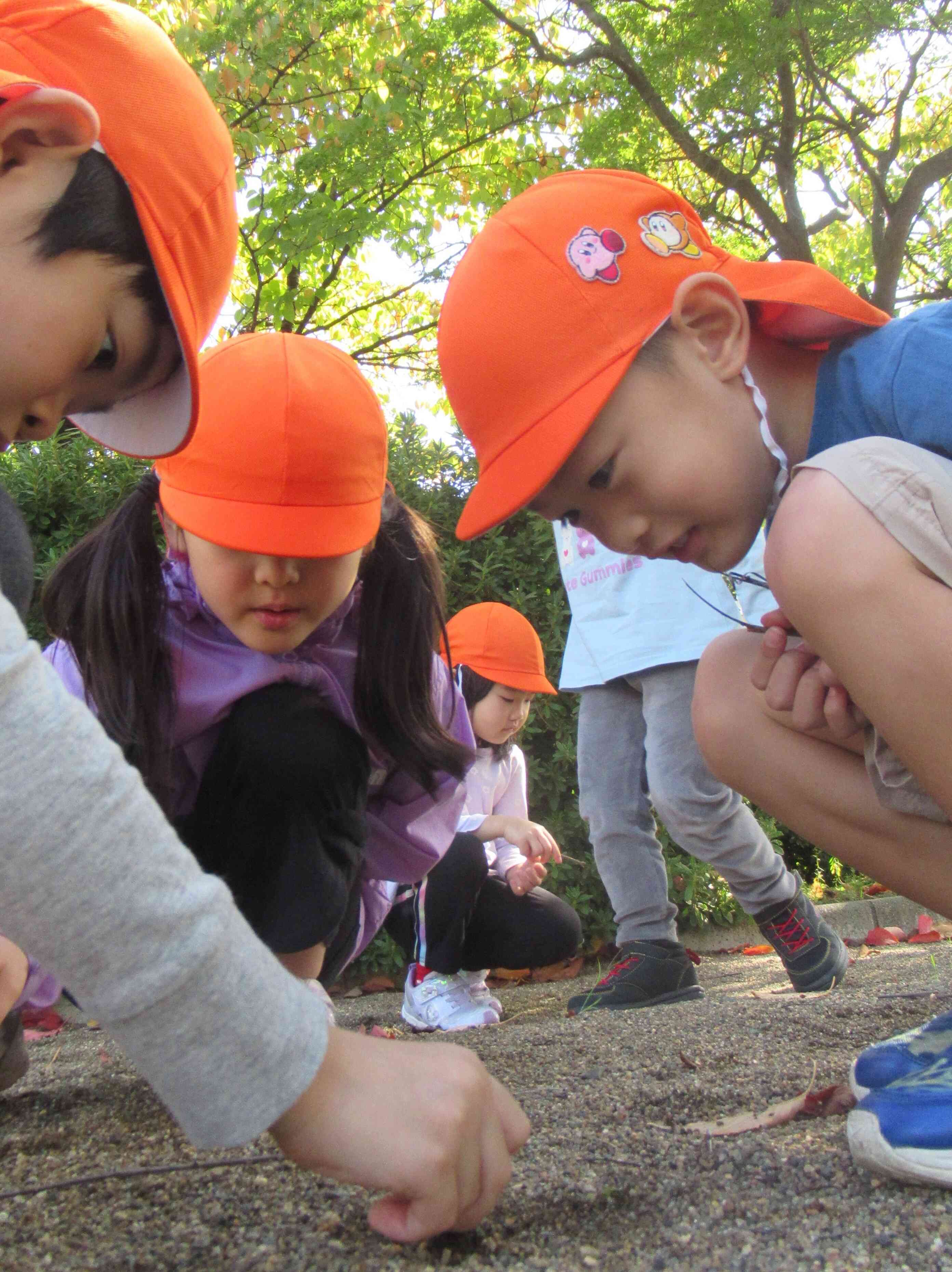 みんなで公園に行ってきたよ（2.3.4歳児）