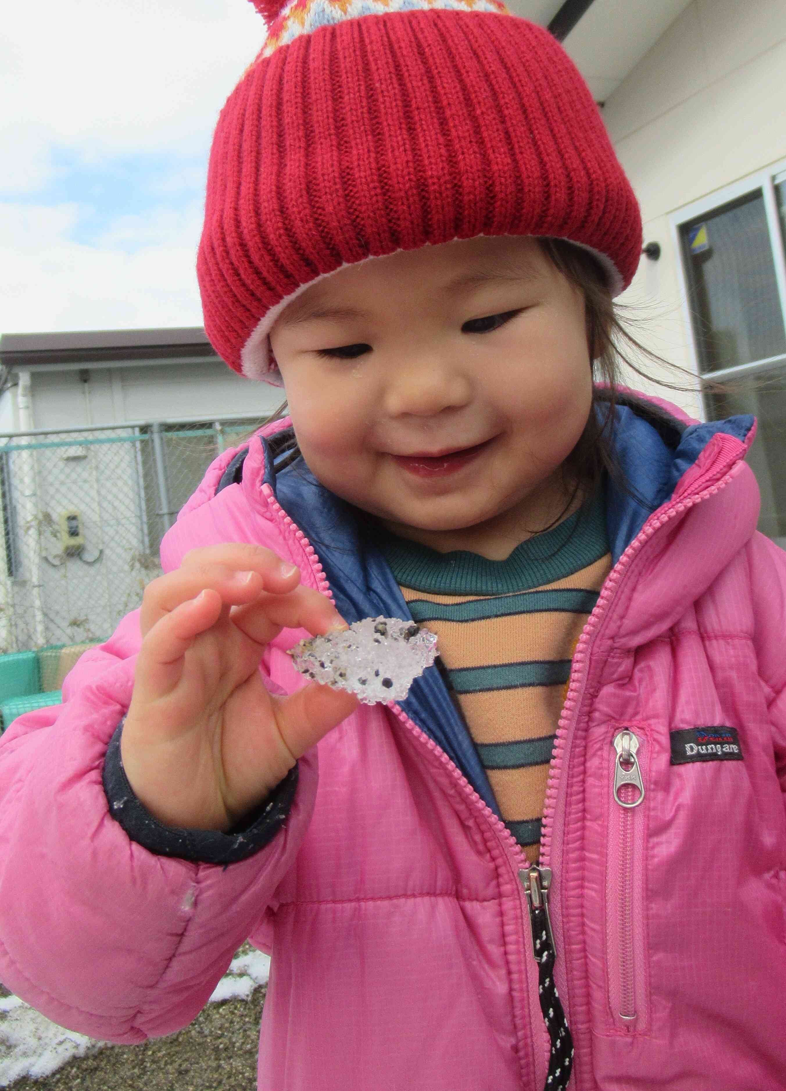 キラキラしてるね~