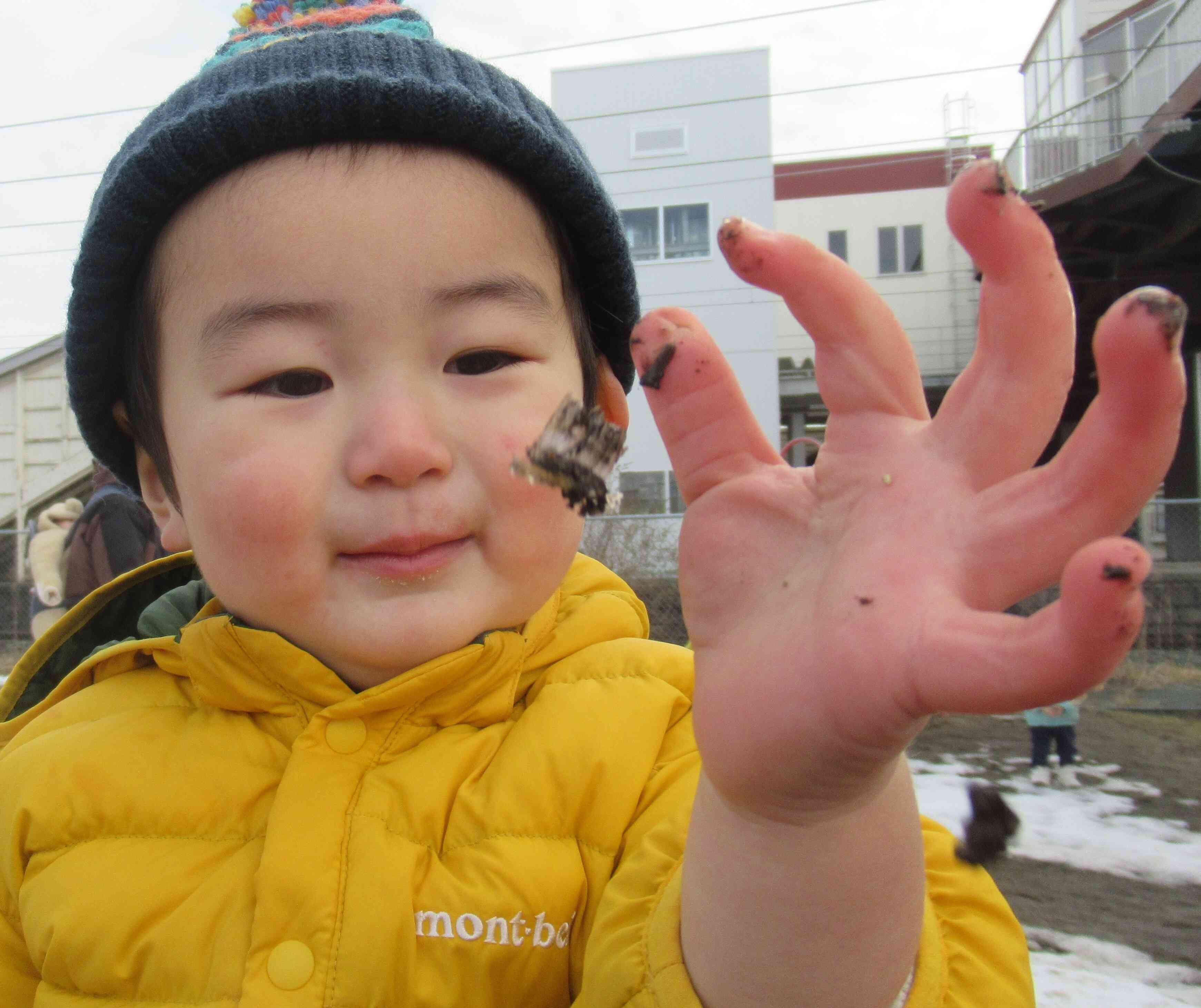 霜柱見つけたよ