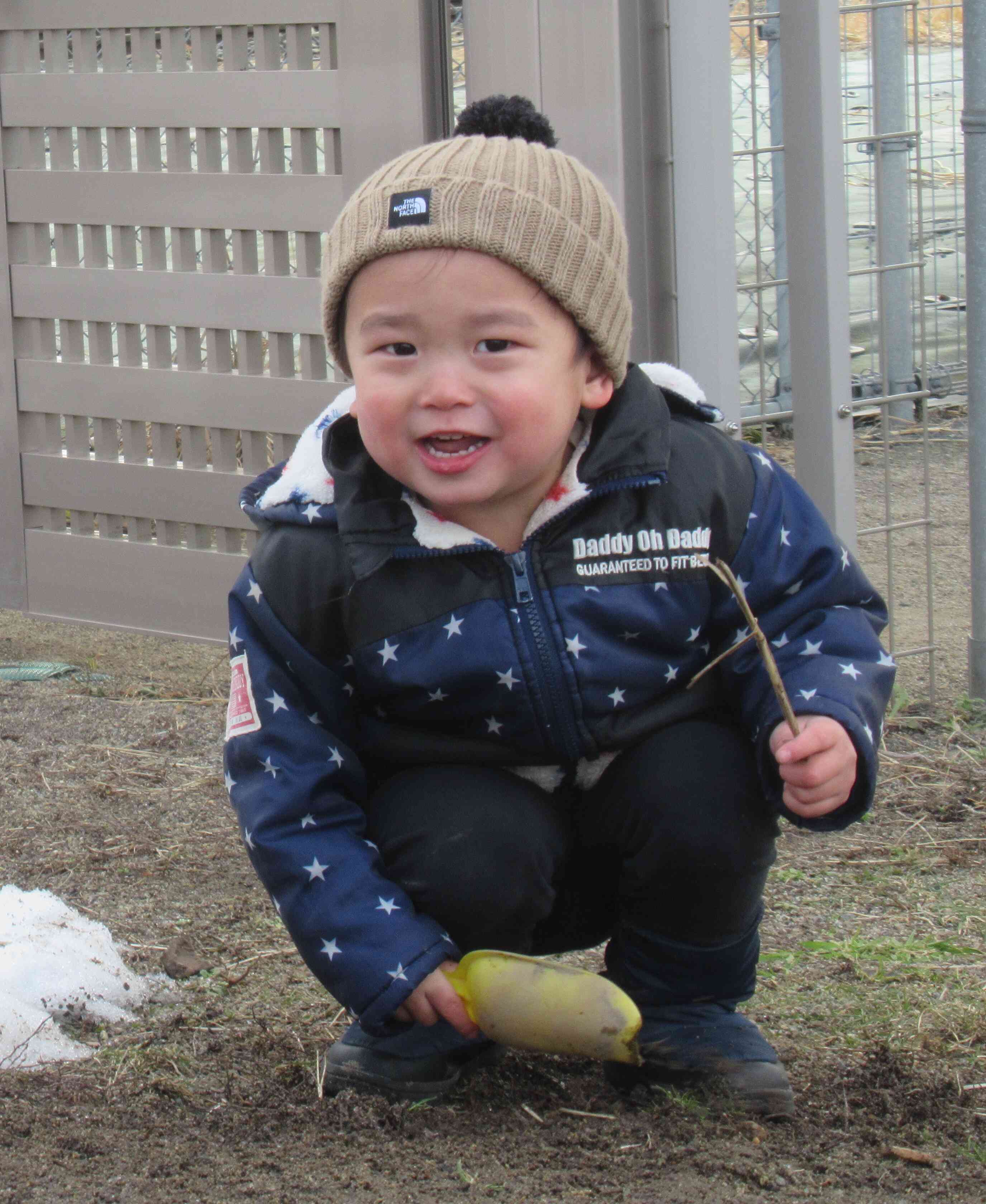 アリさんいないねあ~