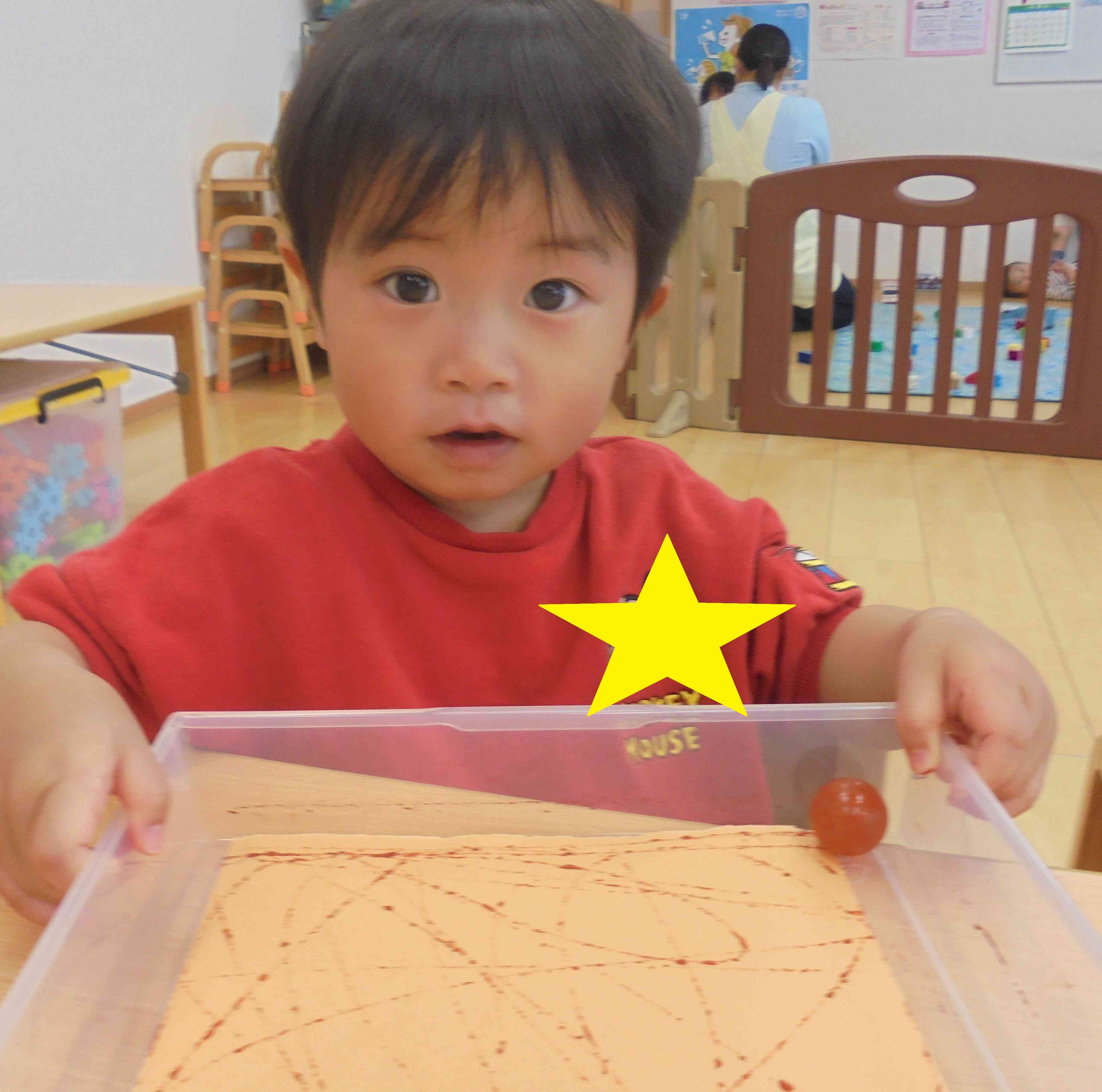 あっ！転がったよ